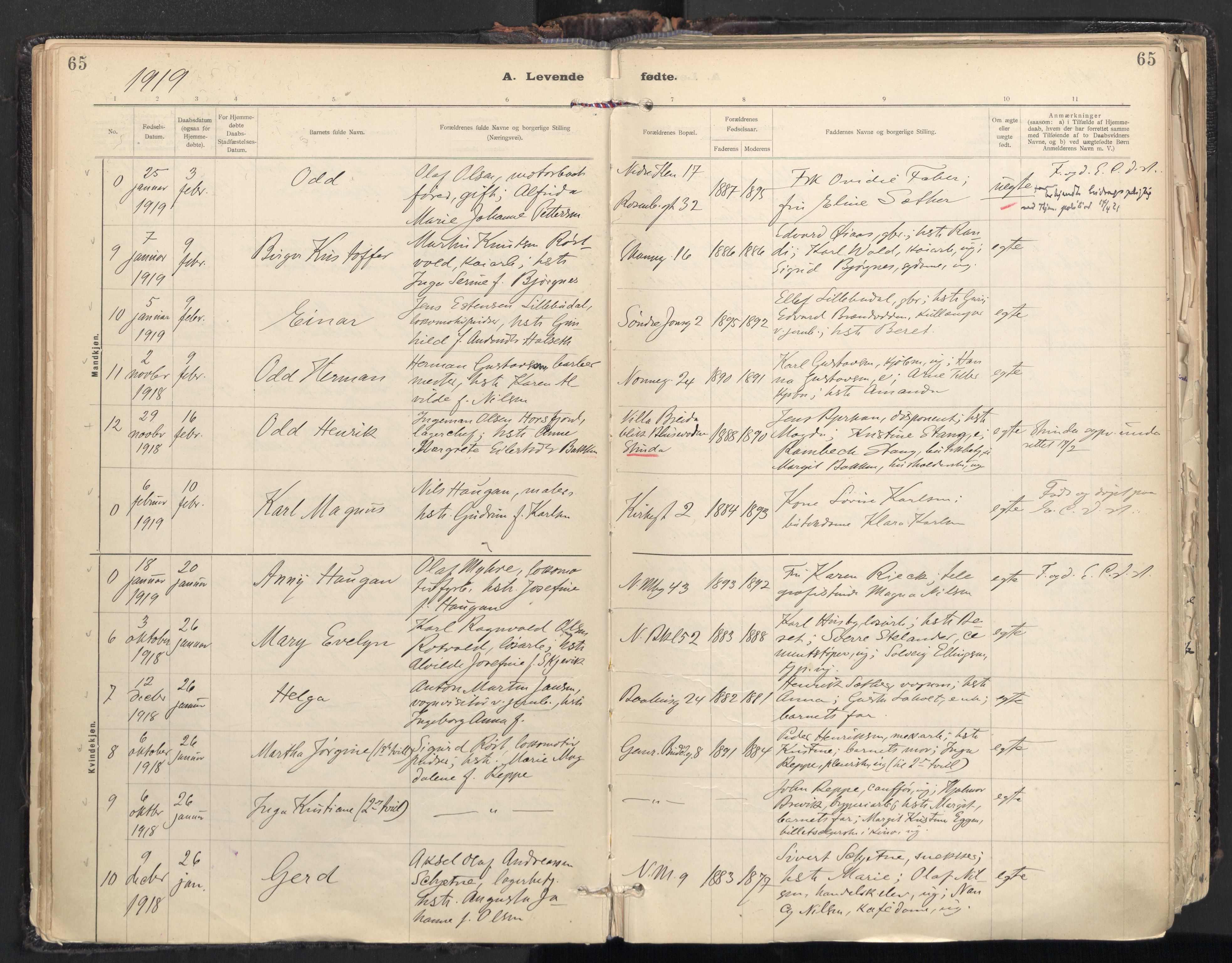 Ministerialprotokoller, klokkerbøker og fødselsregistre - Sør-Trøndelag, AV/SAT-A-1456/604/L0205: Ministerialbok nr. 604A25, 1917-1932, s. 65