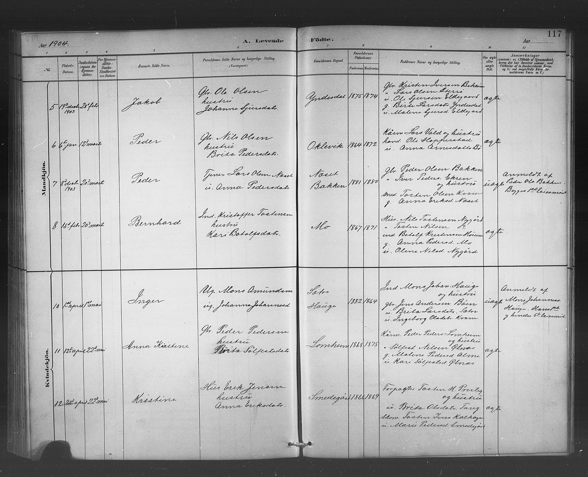 Hafslo sokneprestembete, AV/SAB-A-80301/H/Hab/Habb/L0001: Klokkerbok nr. B 1, 1882-1908, s. 117