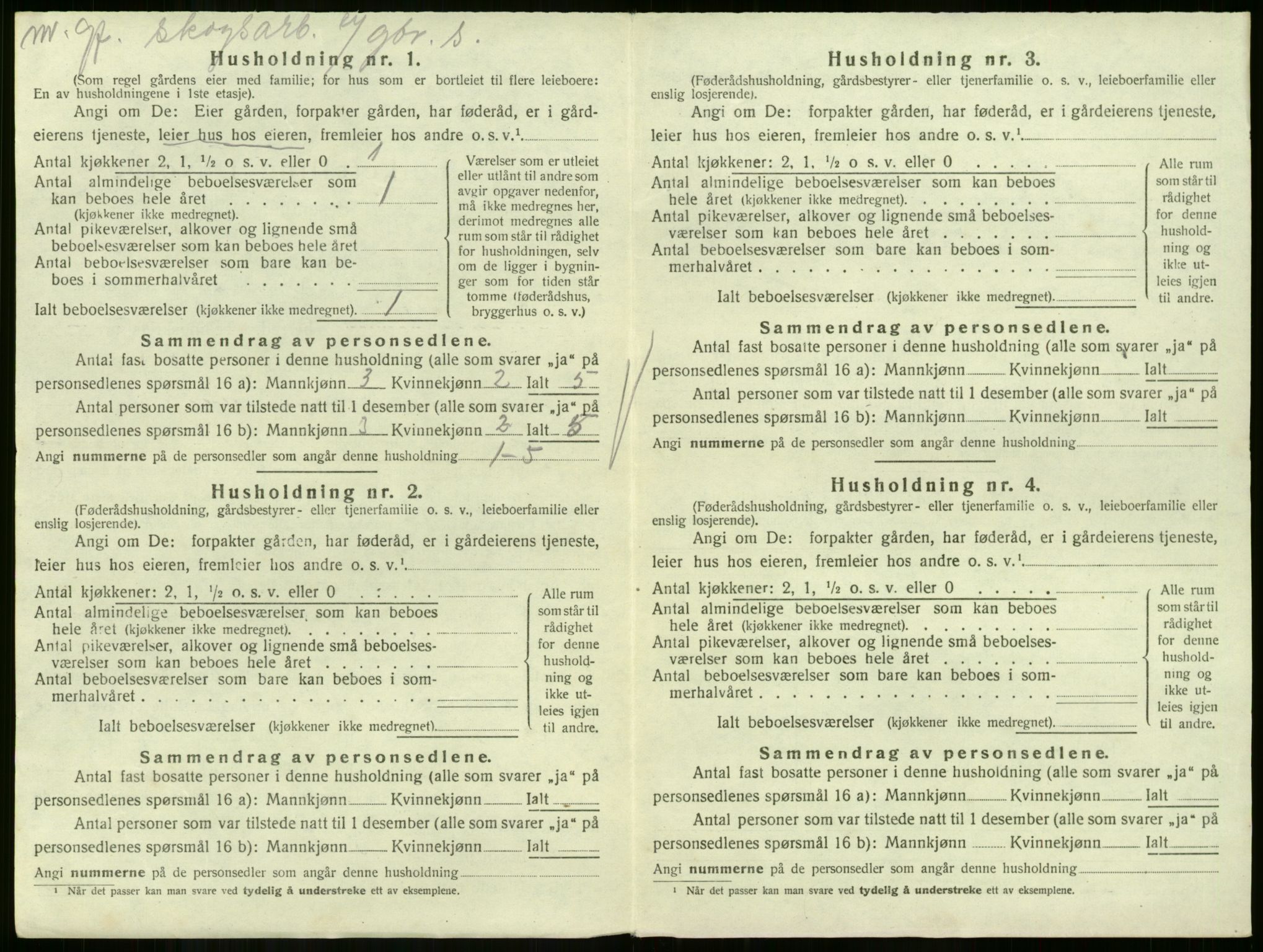 SAKO, Folketelling 1920 for 0712 Skoger herred, 1920, s. 1319
