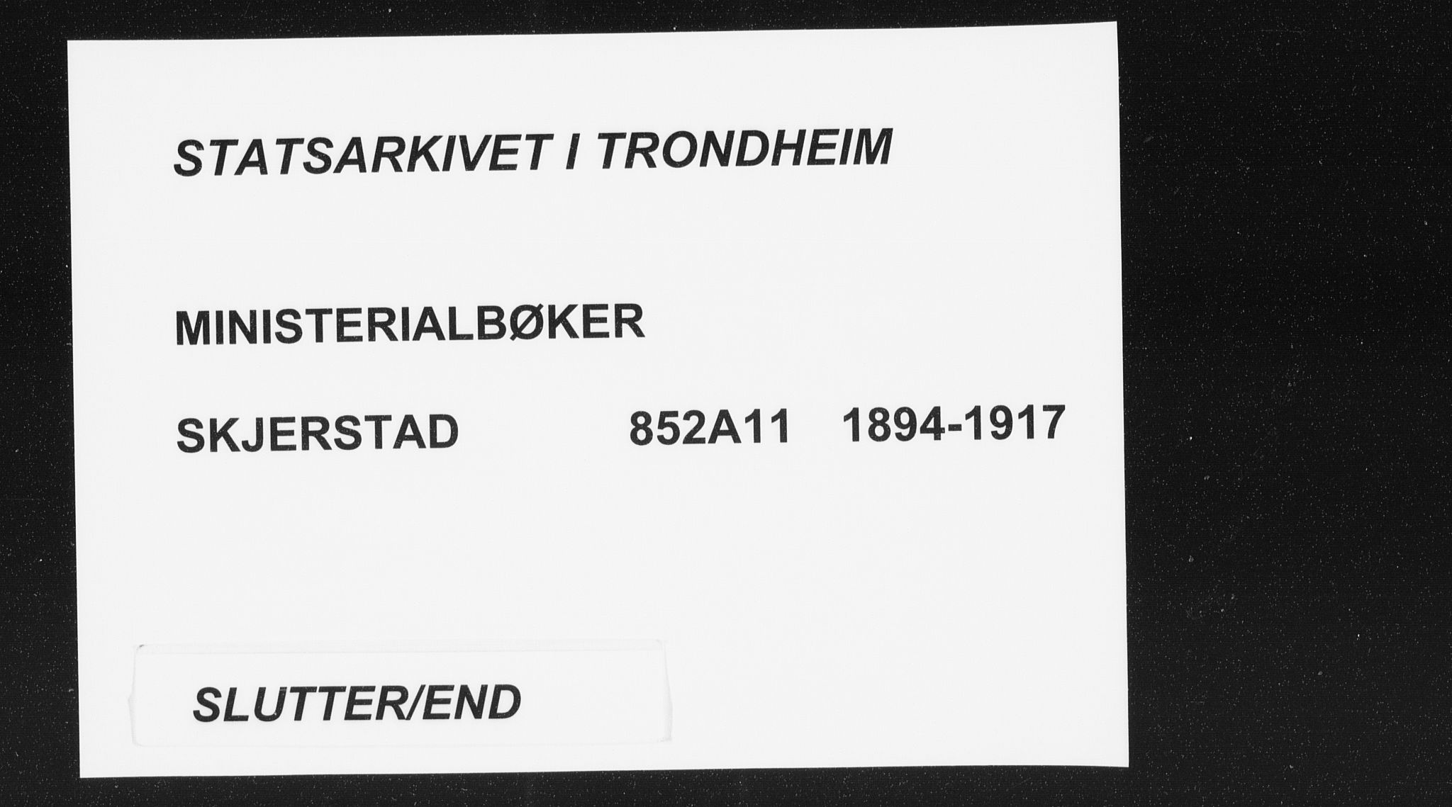 Ministerialprotokoller, klokkerbøker og fødselsregistre - Nordland, AV/SAT-A-1459/852/L0741: Ministerialbok nr. 852A11, 1894-1917