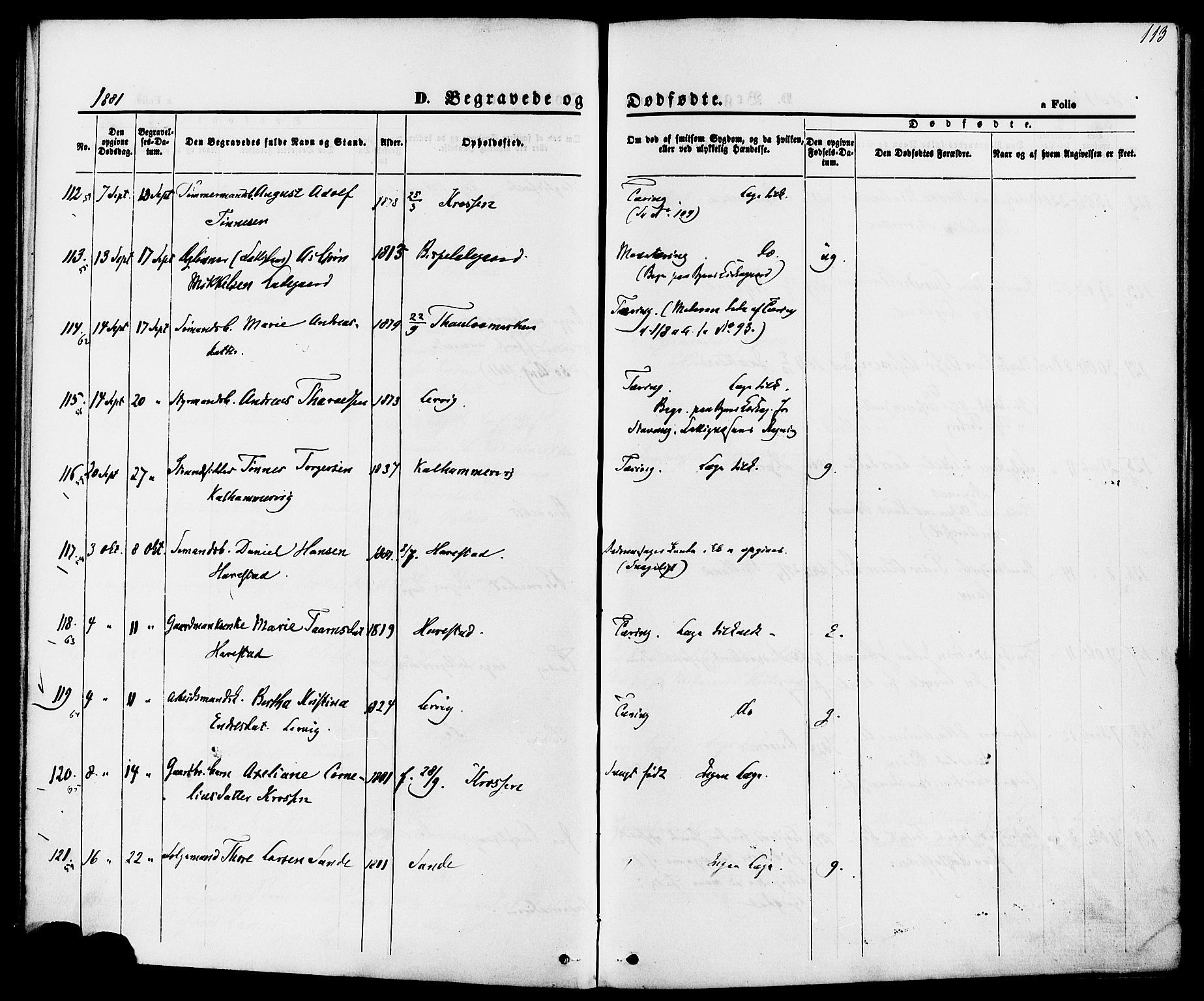 Hetland sokneprestkontor, AV/SAST-A-101826/30/30BA/L0006: Ministerialbok nr. A 6, 1869-1884, s. 113