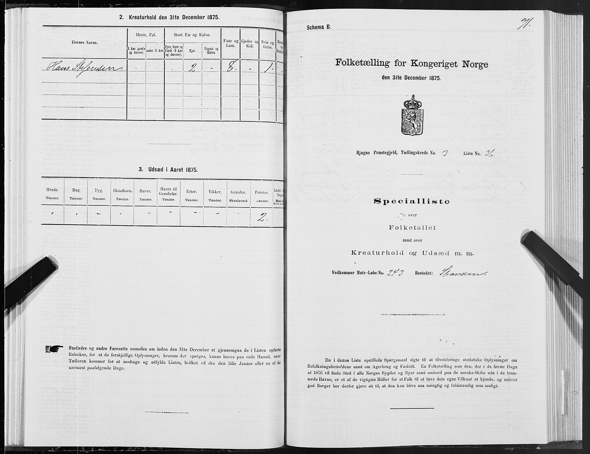 SAT, Folketelling 1875 for 1627P Bjugn prestegjeld, 1875, s. 2071