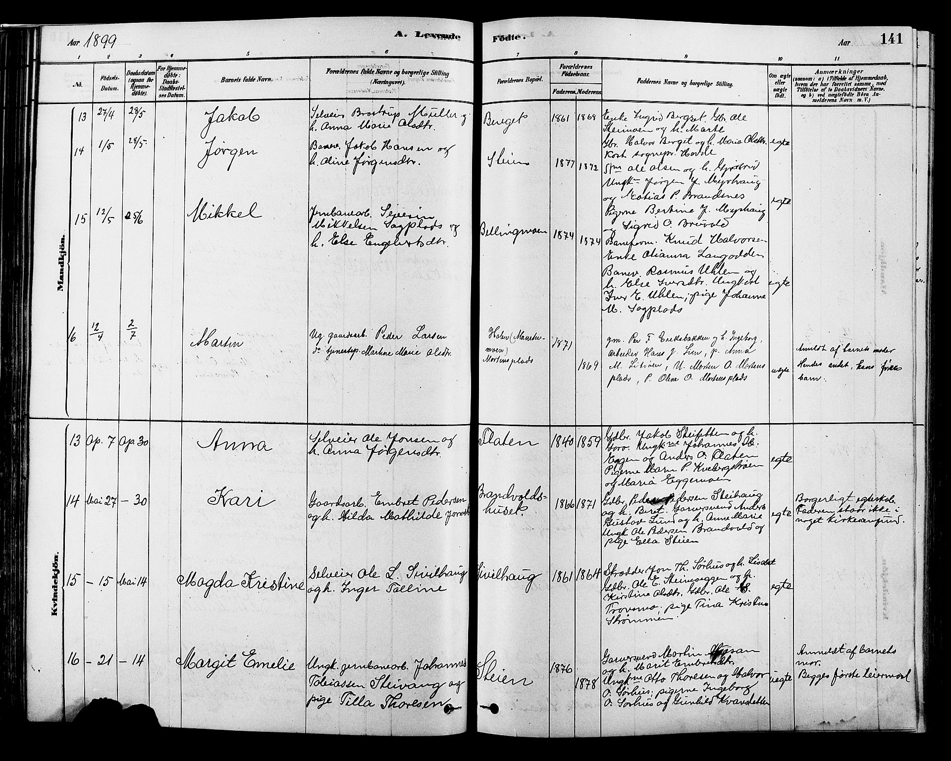 Alvdal prestekontor, AV/SAH-PREST-060/H/Ha/Hab/L0003: Klokkerbok nr. 3, 1878-1907, s. 141