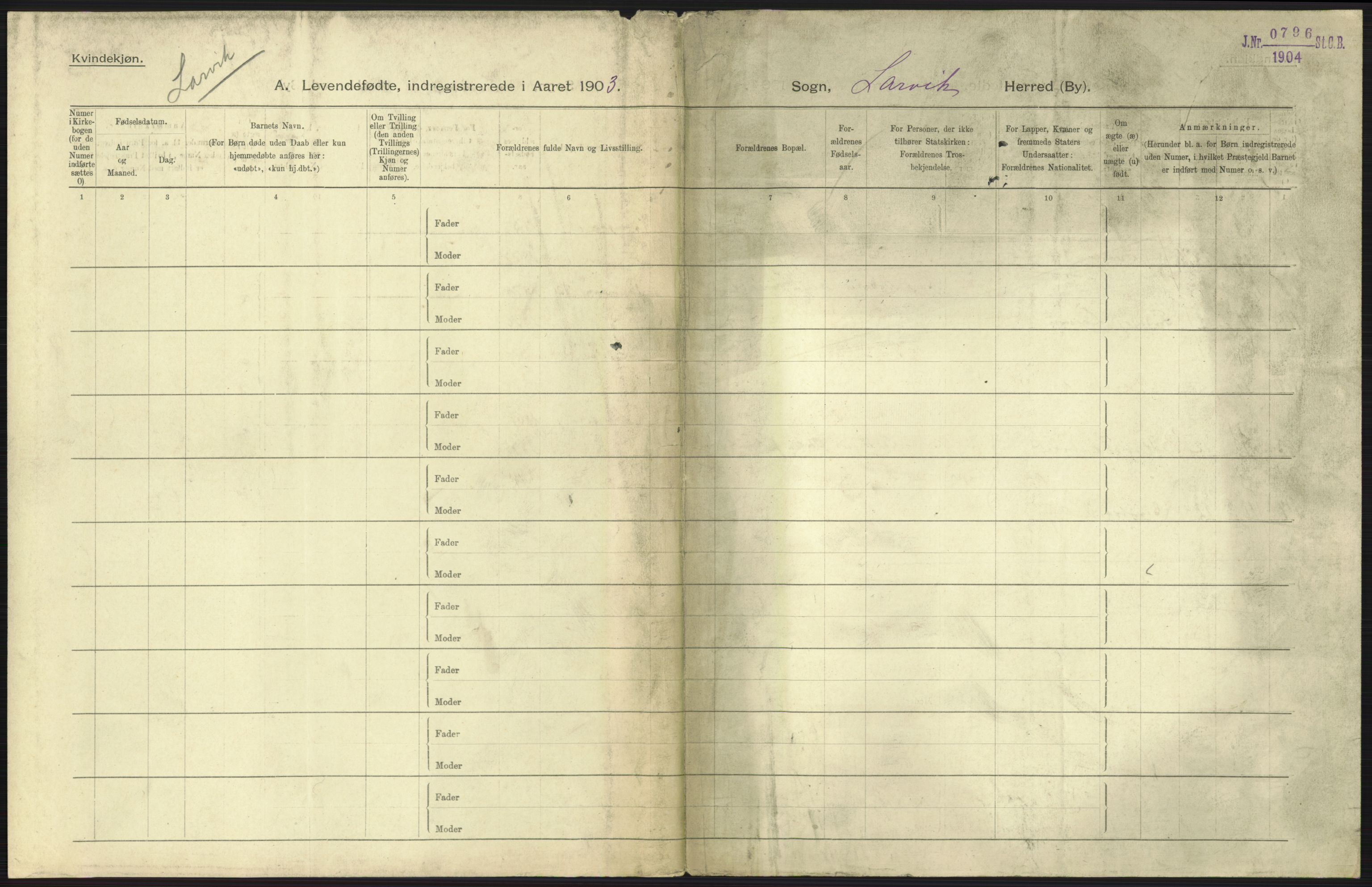 Statistisk sentralbyrå, Sosiodemografiske emner, Befolkning, AV/RA-S-2228/D/Df/Dfa/Dfaa/L0008: Jarlsberg og Larvik amt: Fødte, gifte, døde, 1903, s. 245