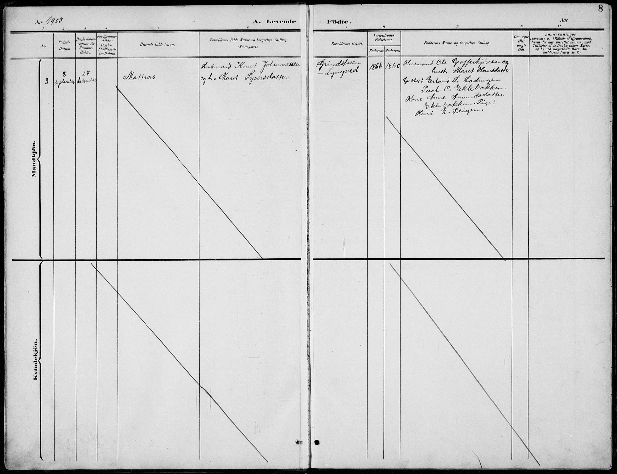 Lom prestekontor, SAH/PREST-070/L/L0006: Klokkerbok nr. 6, 1901-1939, s. 8