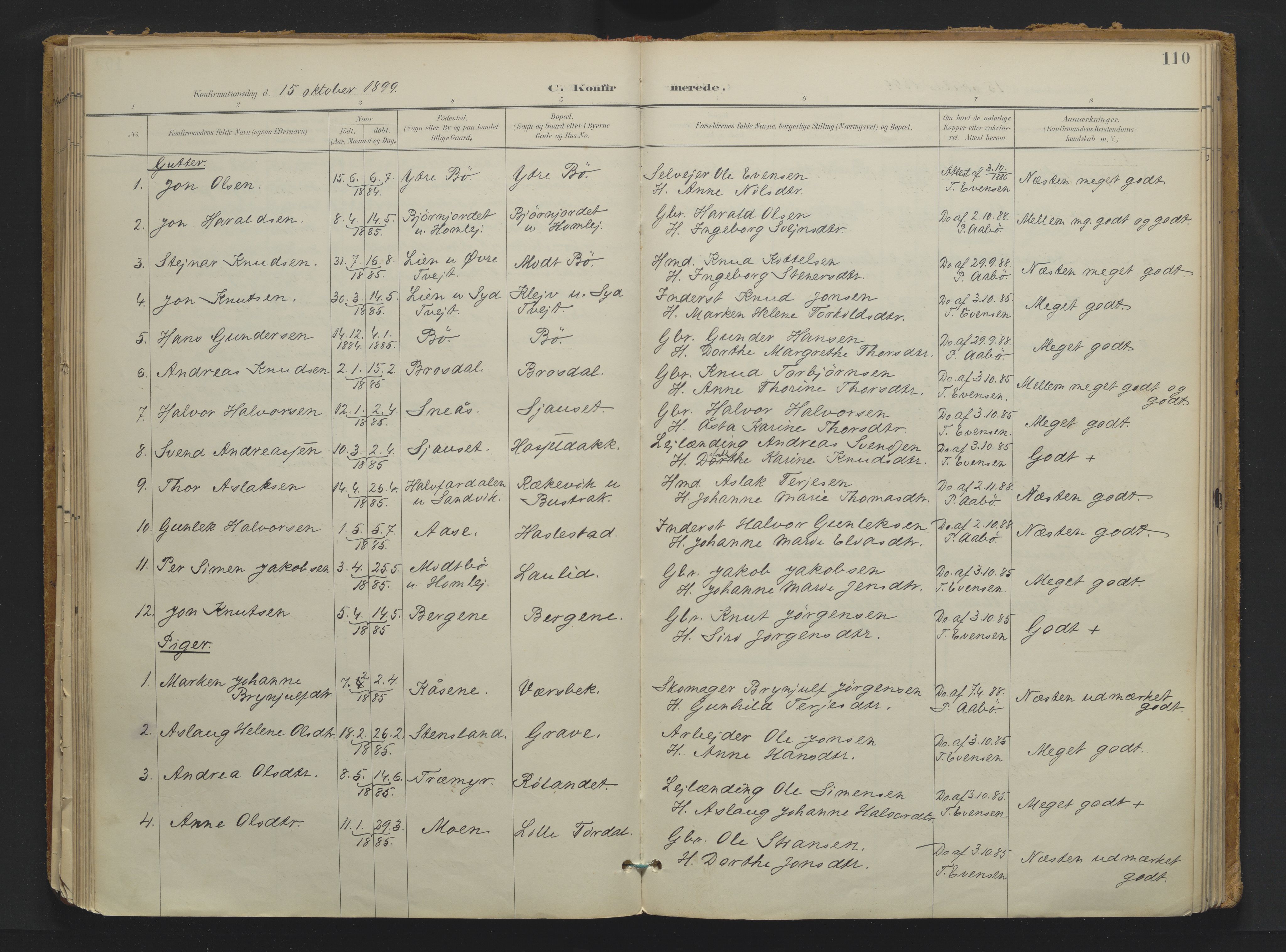 Drangedal kirkebøker, AV/SAKO-A-258/F/Fa/L0013: Ministerialbok nr. 13, 1895-1919, s. 110
