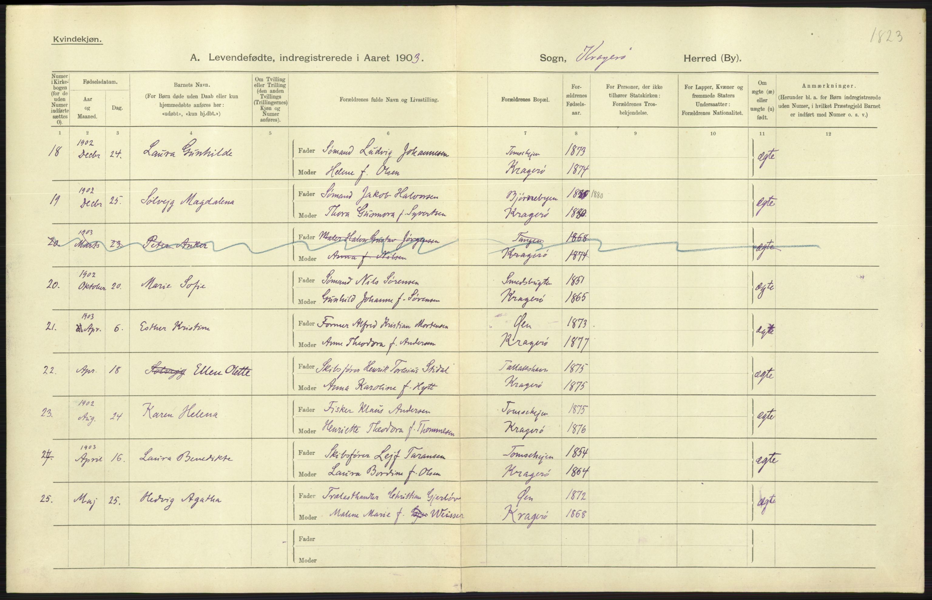 Statistisk sentralbyrå, Sosiodemografiske emner, Befolkning, AV/RA-S-2228/D/Df/Dfa/Dfaa/L0009: Bratsberg amt: Fødte, gifte, døde, 1903, s. 347