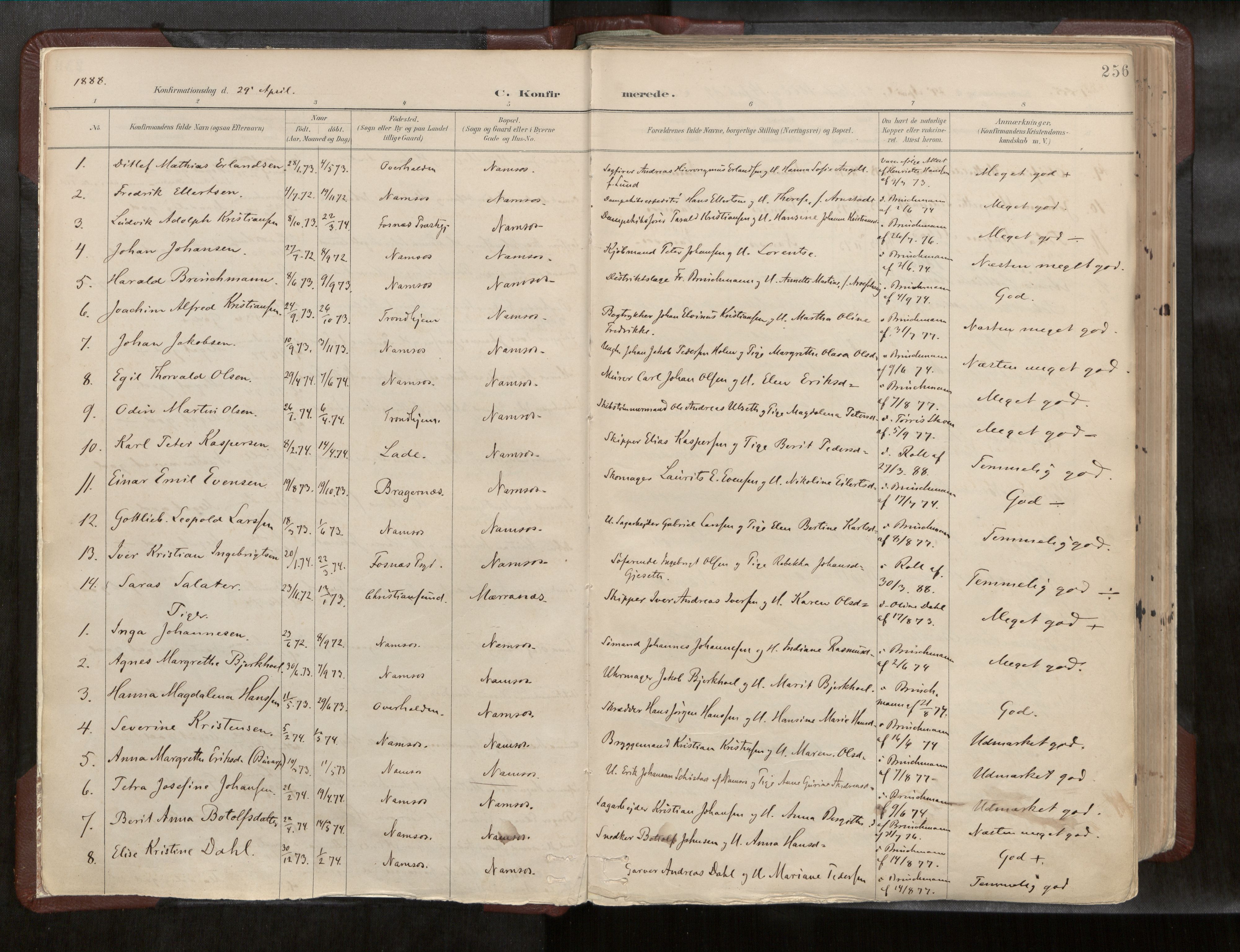 Ministerialprotokoller, klokkerbøker og fødselsregistre - Nord-Trøndelag, AV/SAT-A-1458/768/L0579a: Ministerialbok nr. 768A14, 1887-1931, s. 256