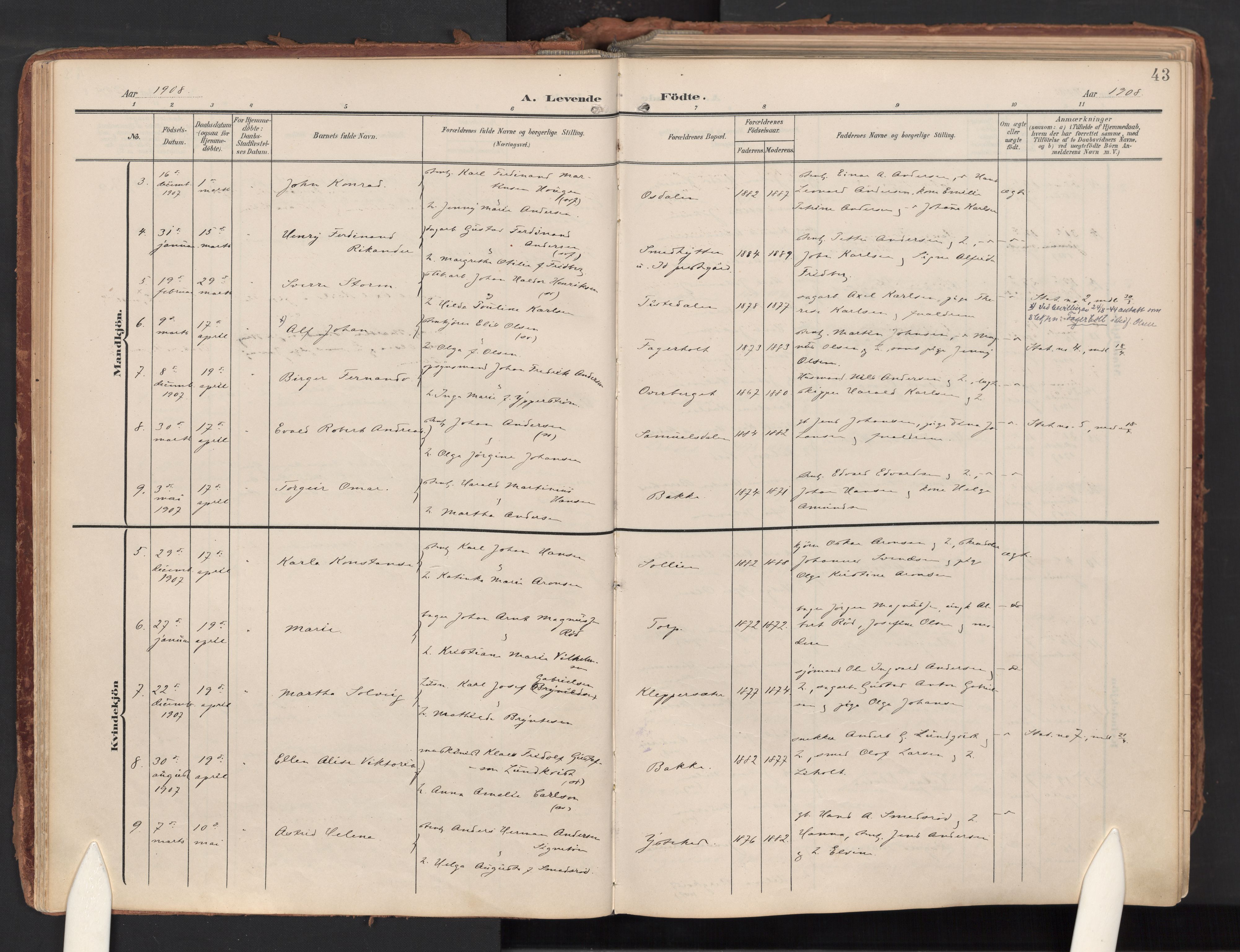 Idd prestekontor Kirkebøker, AV/SAO-A-10911/F/Fc/L0007: Ministerialbok nr. III 7, 1904-1925, s. 43