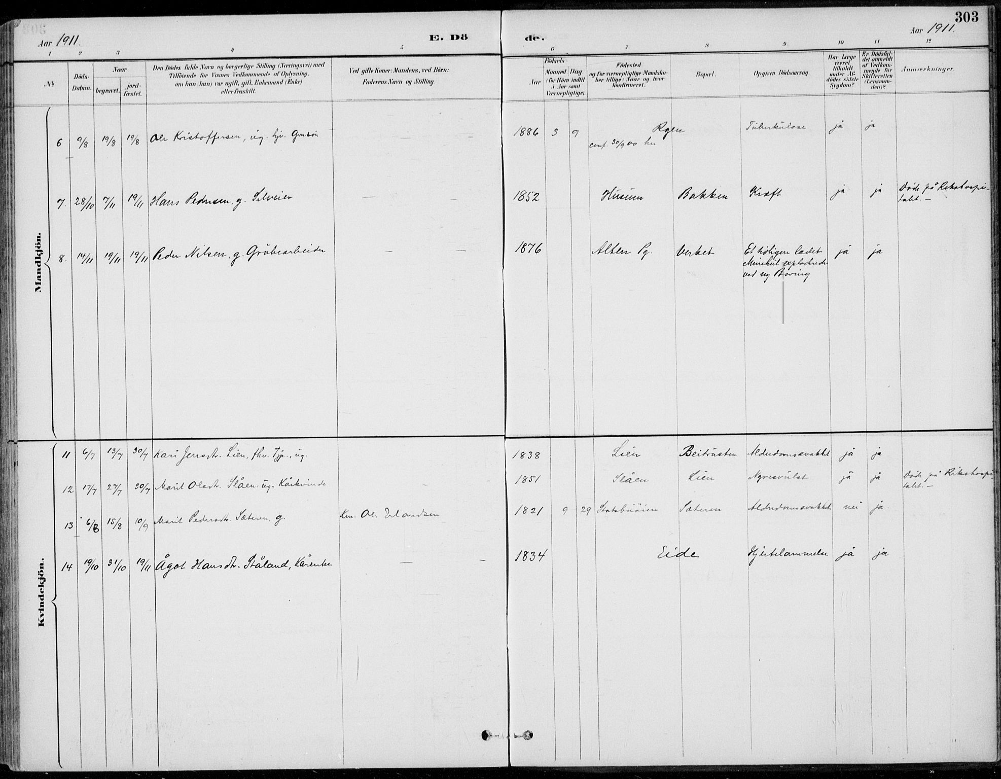 Alvdal prestekontor, SAH/PREST-060/H/Ha/Haa/L0003: Ministerialbok nr. 3, 1886-1912, s. 303