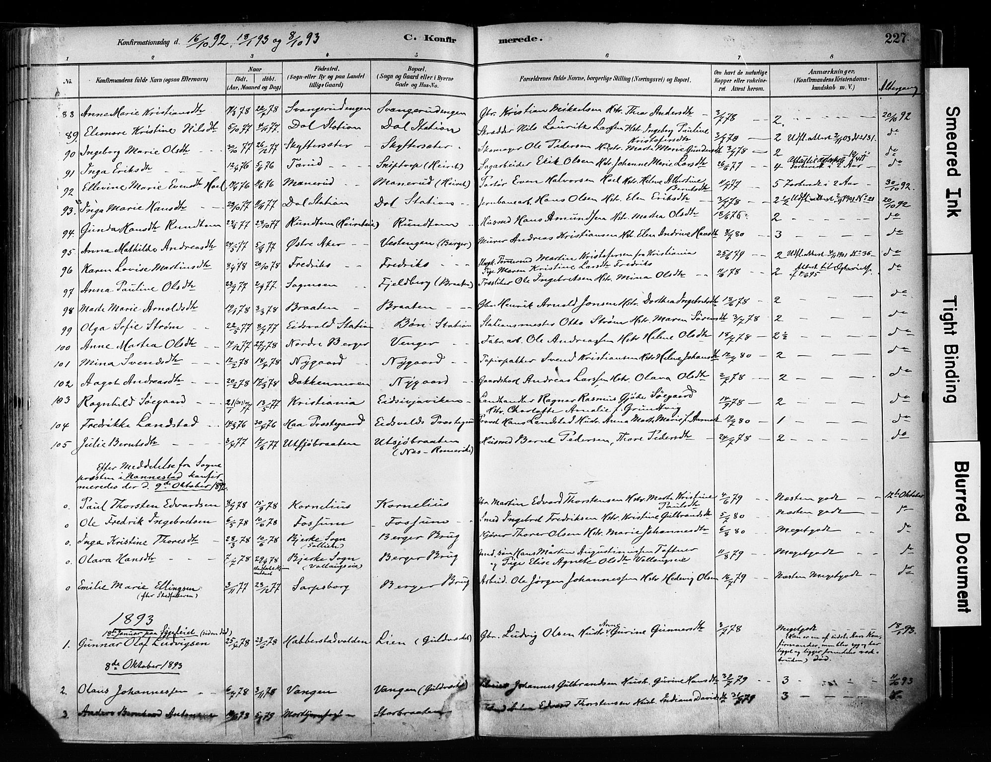 Eidsvoll prestekontor Kirkebøker, AV/SAO-A-10888/F/Fa/L0002: Ministerialbok nr. I 2, 1882-1895, s. 227