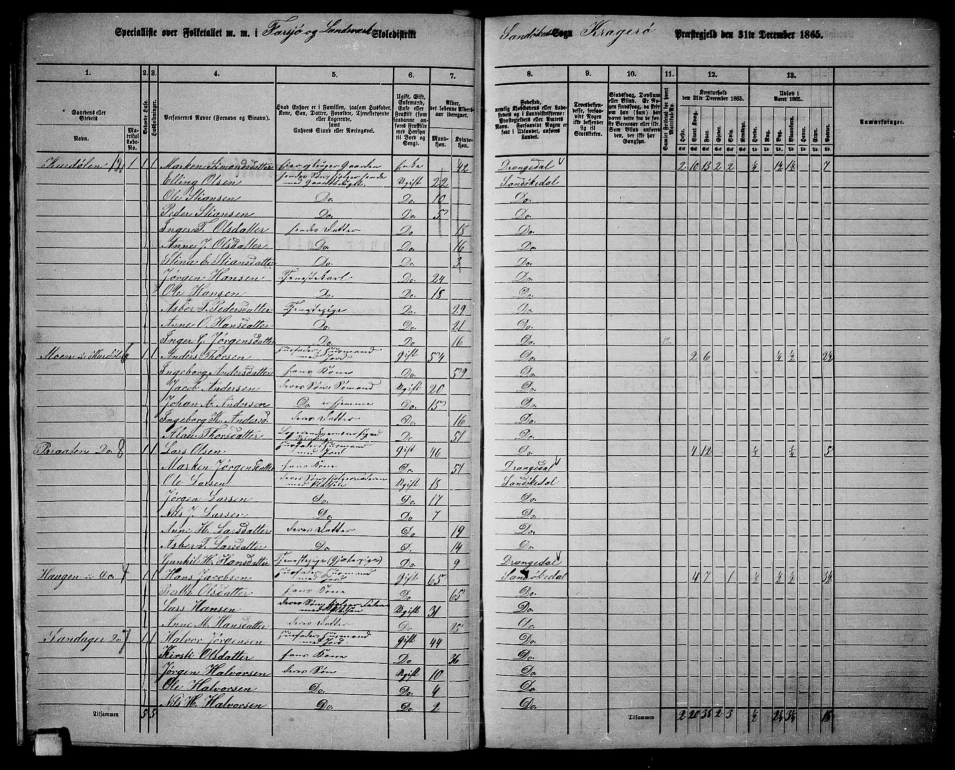 RA, Folketelling 1865 for 0816L Kragerø prestegjeld, Sannidal sokn og Skåtøy sokn, 1865, s. 13