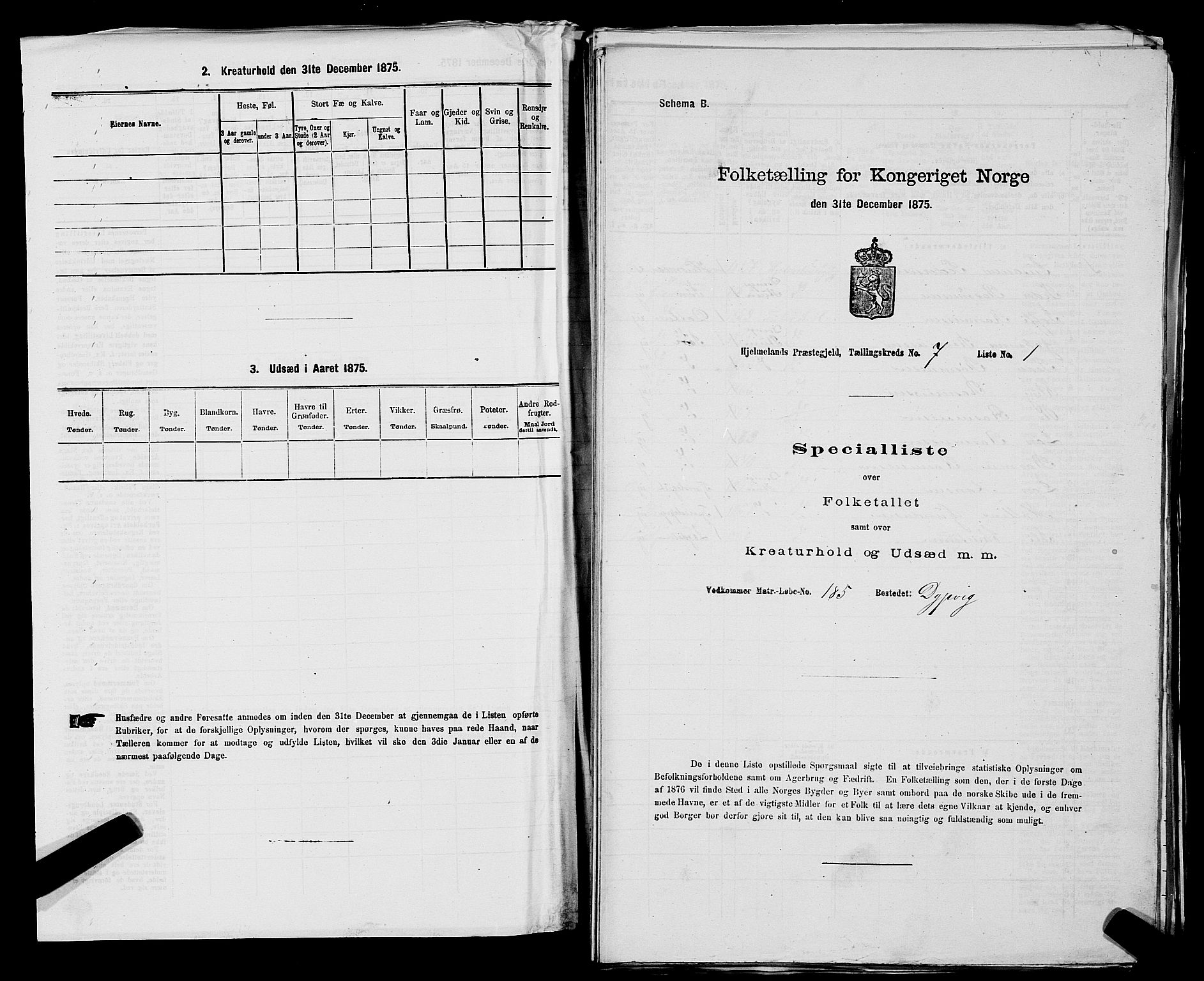 SAST, Folketelling 1875 for 1133P Hjelmeland prestegjeld, 1875, s. 903