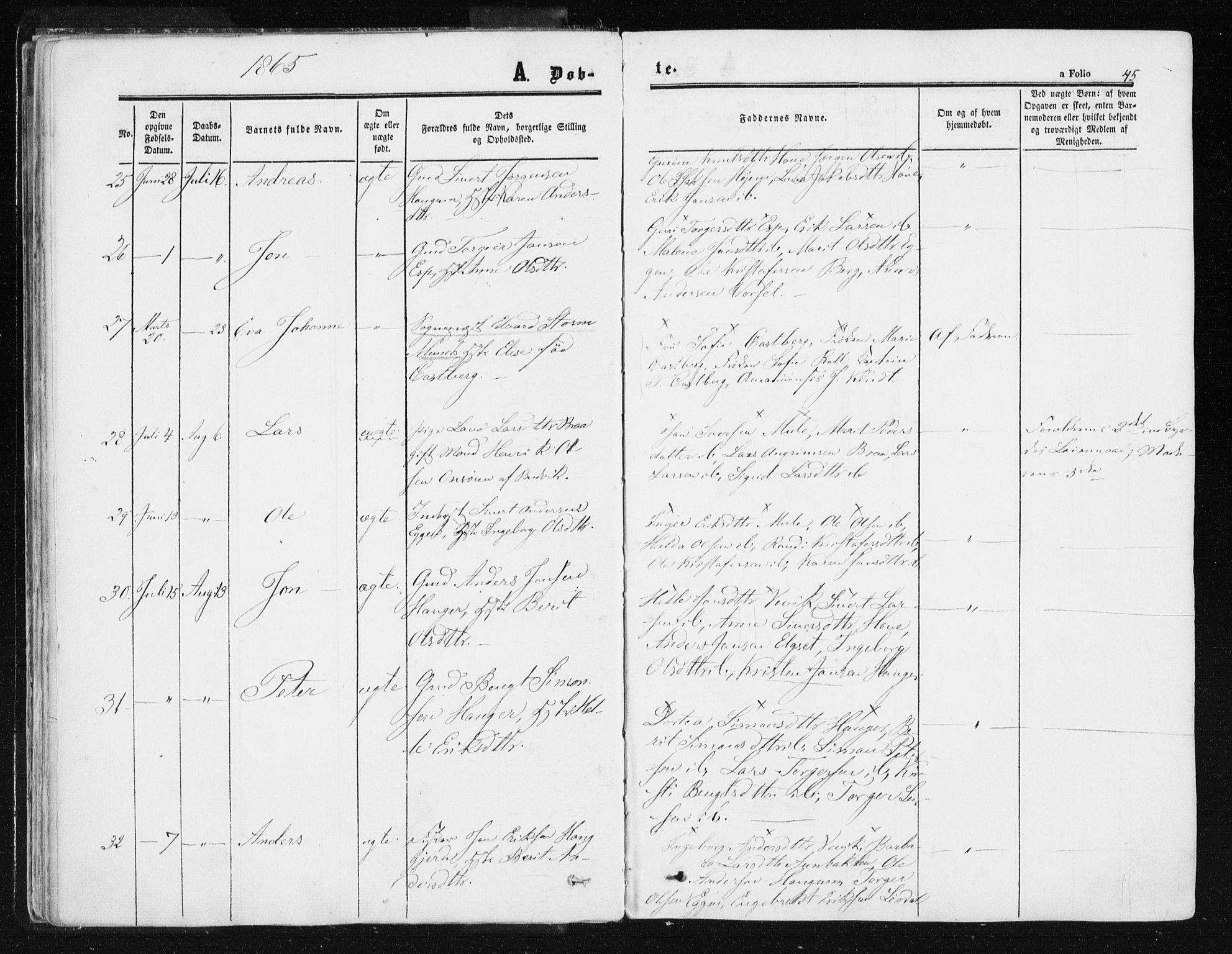 Ministerialprotokoller, klokkerbøker og fødselsregistre - Sør-Trøndelag, AV/SAT-A-1456/612/L0377: Ministerialbok nr. 612A09, 1859-1877, s. 45