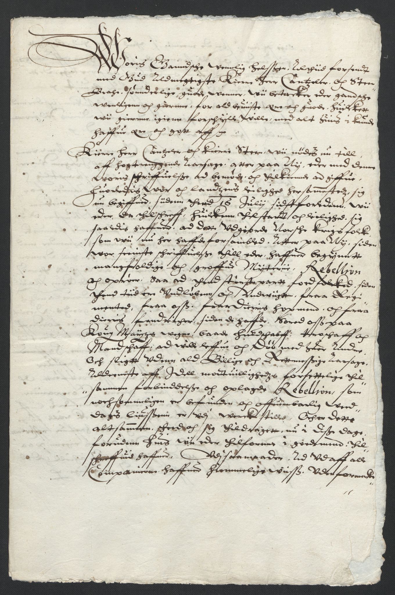 Danske Kanselli 1572-1799, AV/RA-EA-3023/F/Fc/Fcc/Fcca/L0001: Norske innlegg 1572-1799, 1574-1612, s. 316