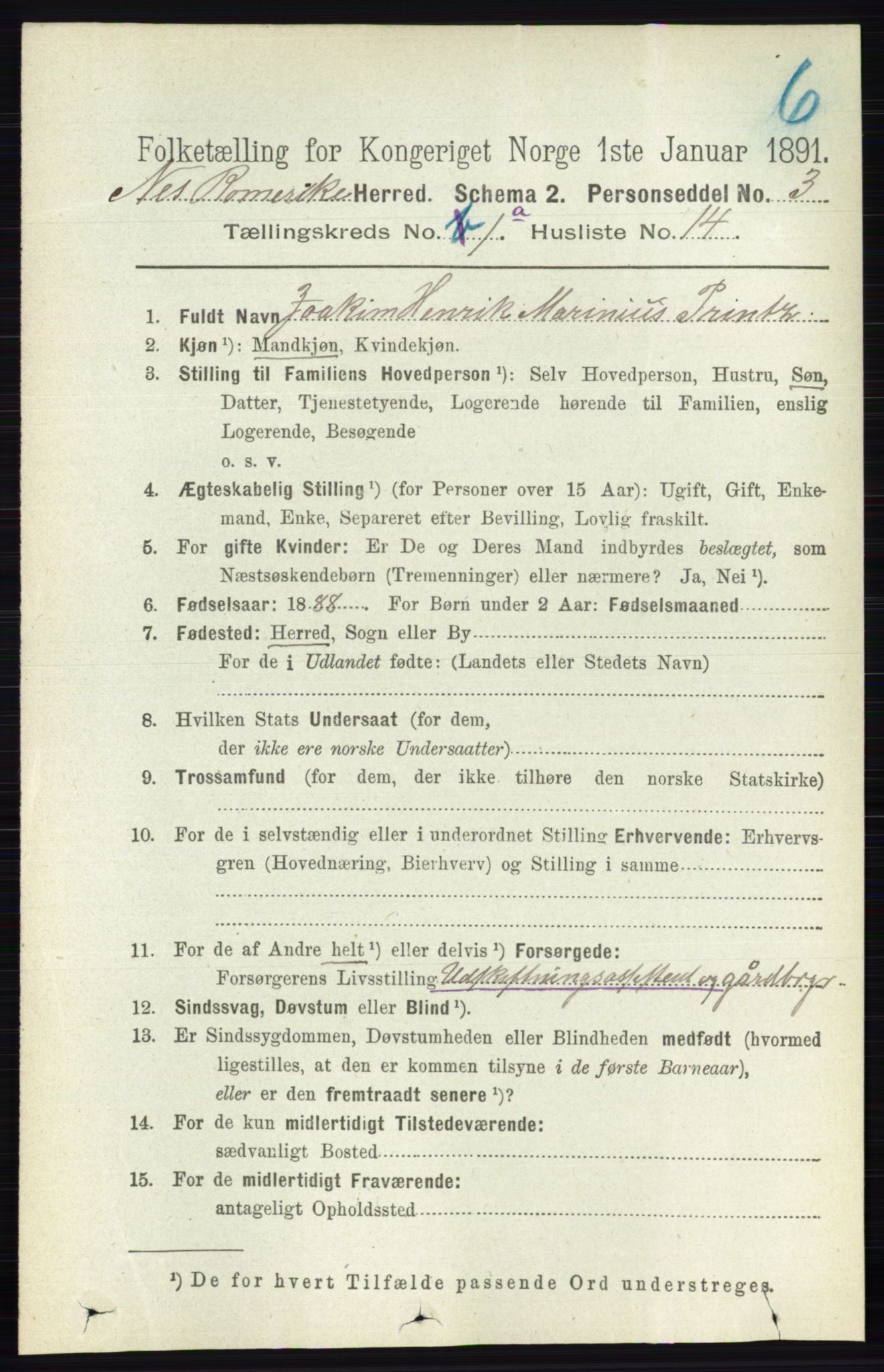RA, Folketelling 1891 for 0236 Nes herred, 1891, s. 202