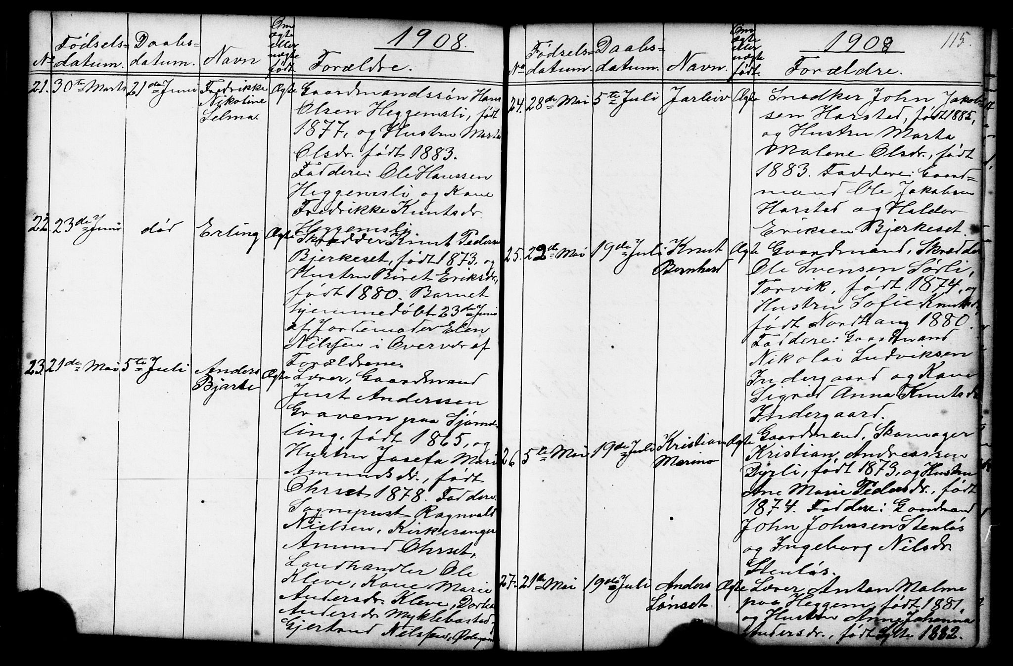 Ministerialprotokoller, klokkerbøker og fødselsregistre - Møre og Romsdal, AV/SAT-A-1454/584/L0969: Klokkerbok nr. 584C02, 1877-1911, s. 115