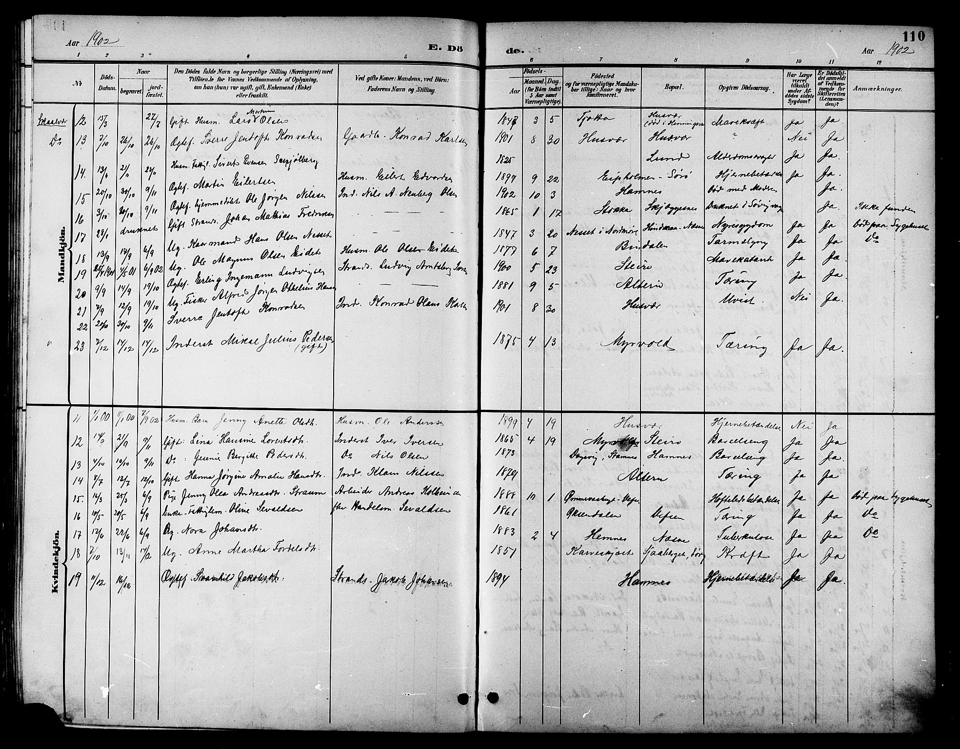 Ministerialprotokoller, klokkerbøker og fødselsregistre - Nordland, AV/SAT-A-1459/830/L0463: Klokkerbok nr. 830C05, 1895-1906, s. 110