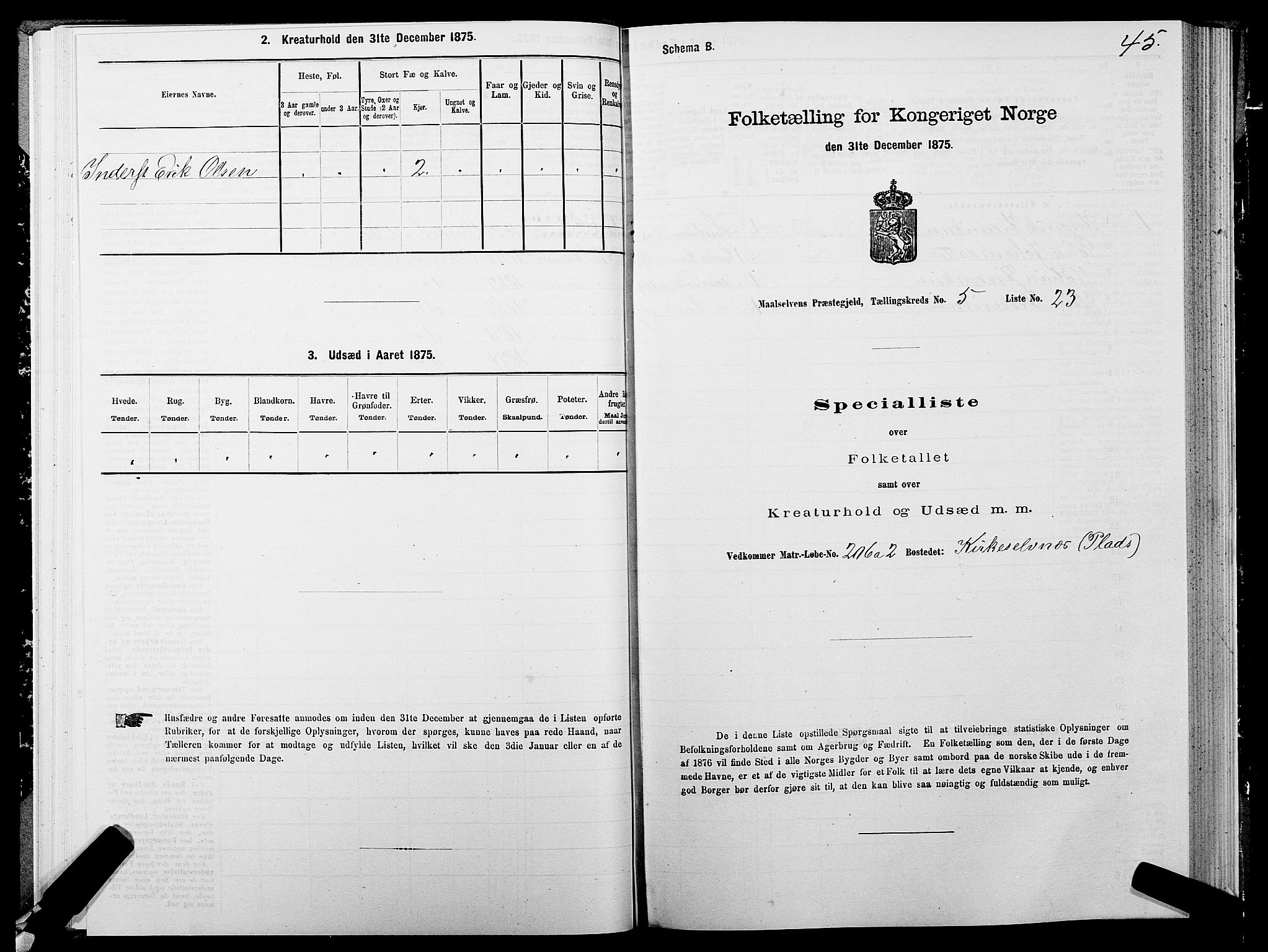 SATØ, Folketelling 1875 for 1924P Målselv prestegjeld, 1875, s. 3045