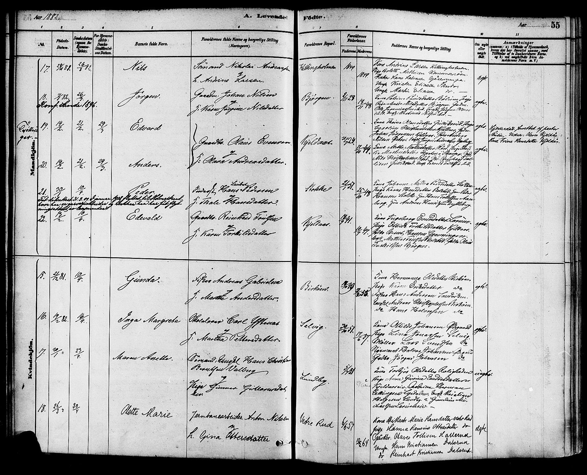 Sande Kirkebøker, AV/SAKO-A-53/F/Fa/L0006: Ministerialbok nr. 6, 1878-1888, s. 55
