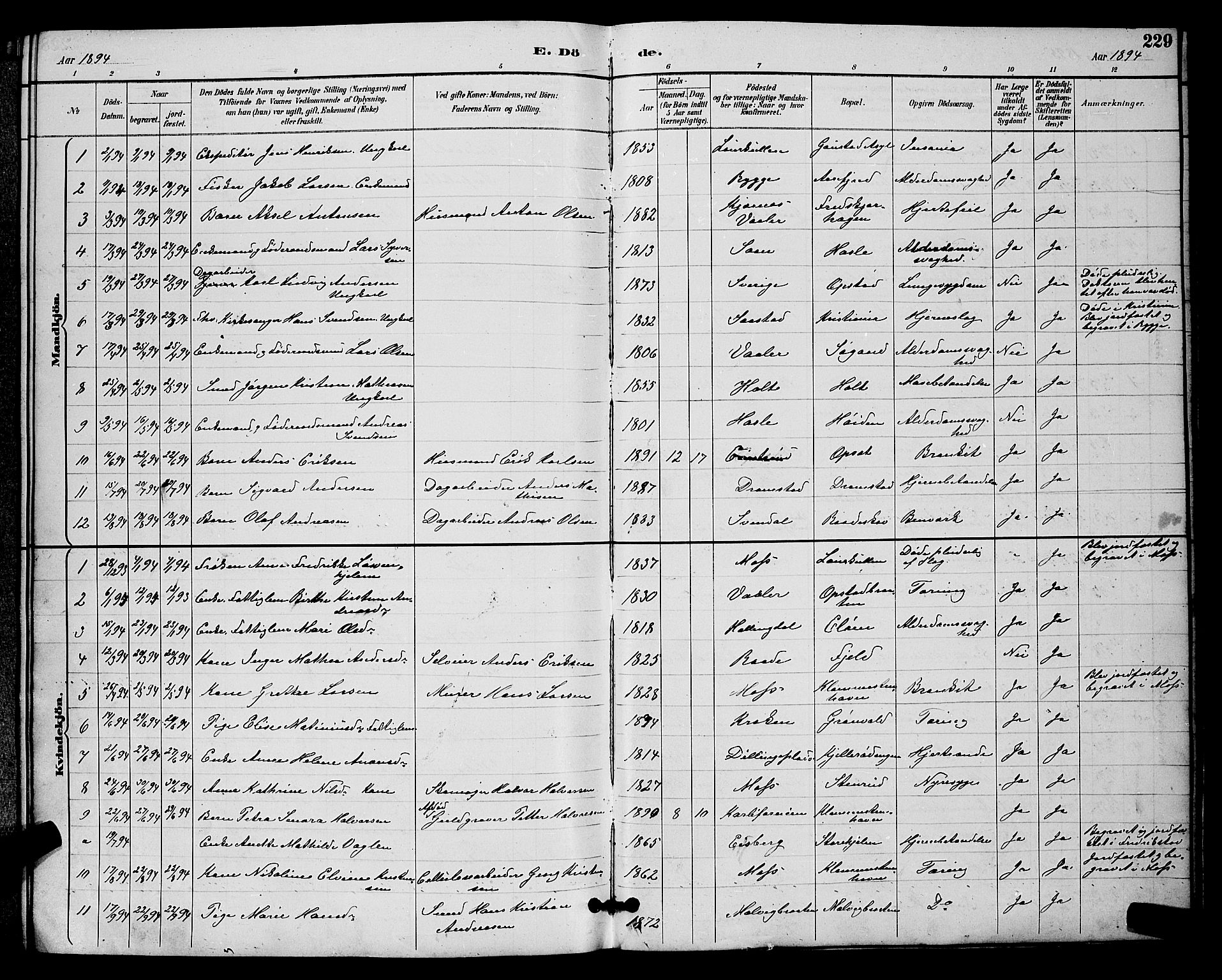 Rygge prestekontor Kirkebøker, AV/SAO-A-10084b/G/Ga/L0002: Klokkerbok nr. 2, 1887-1905, s. 229