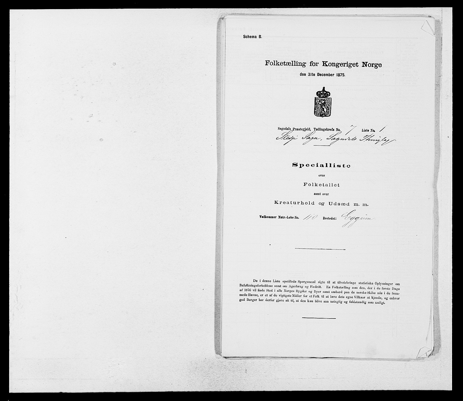 SAB, Folketelling 1875 for 1420P Sogndal prestegjeld, 1875, s. 698