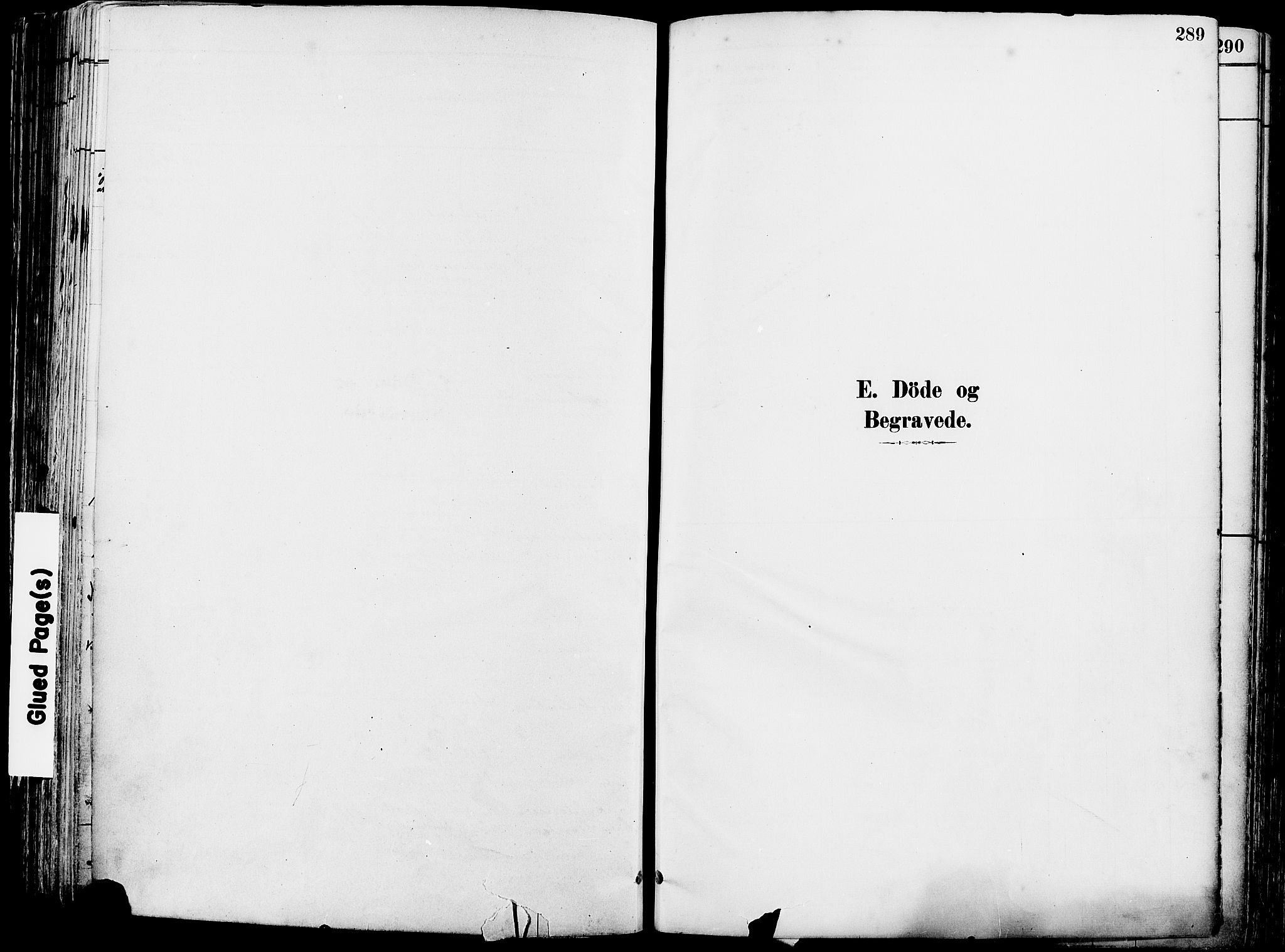 Grue prestekontor, SAH/PREST-036/H/Ha/Haa/L0012: Ministerialbok nr. 12, 1881-1897, s. 289