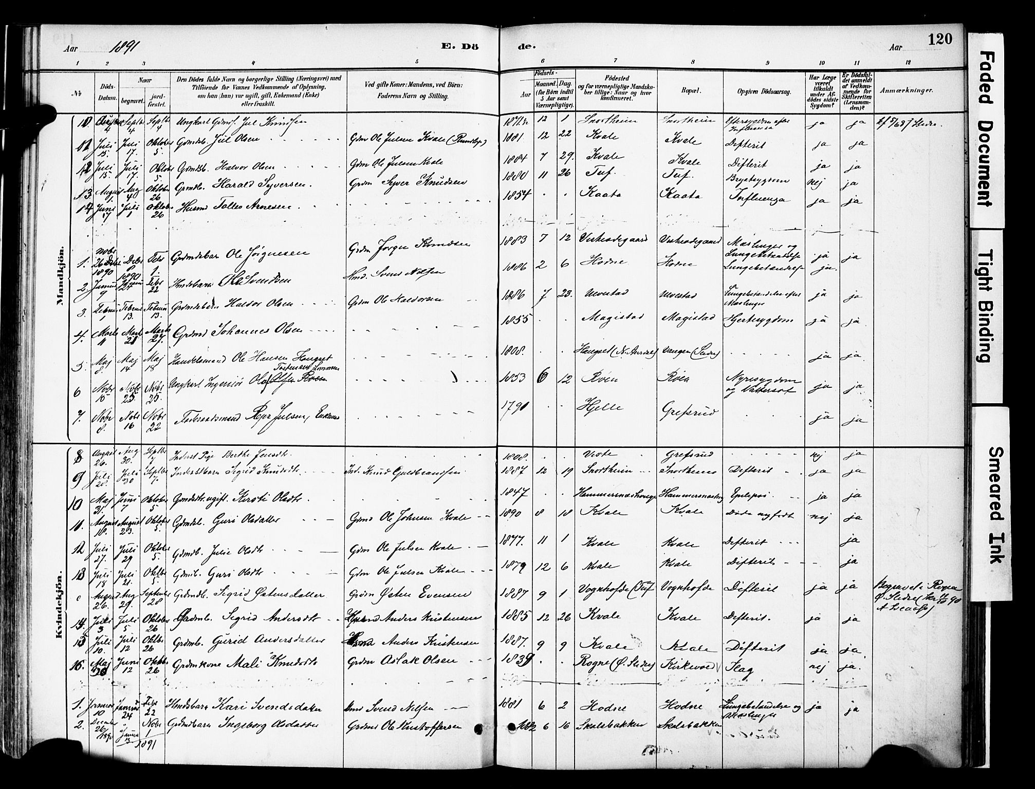 Vestre Slidre prestekontor, AV/SAH-PREST-136/H/Ha/Haa/L0006: Ministerialbok nr. 6, 1881-1912, s. 120