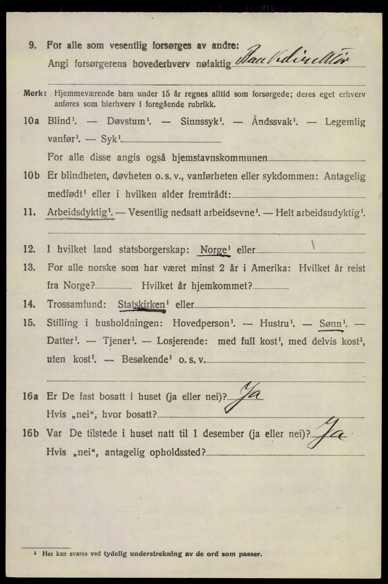 SAKO, Folketelling 1920 for 0727 Hedrum herred, 1920, s. 4000