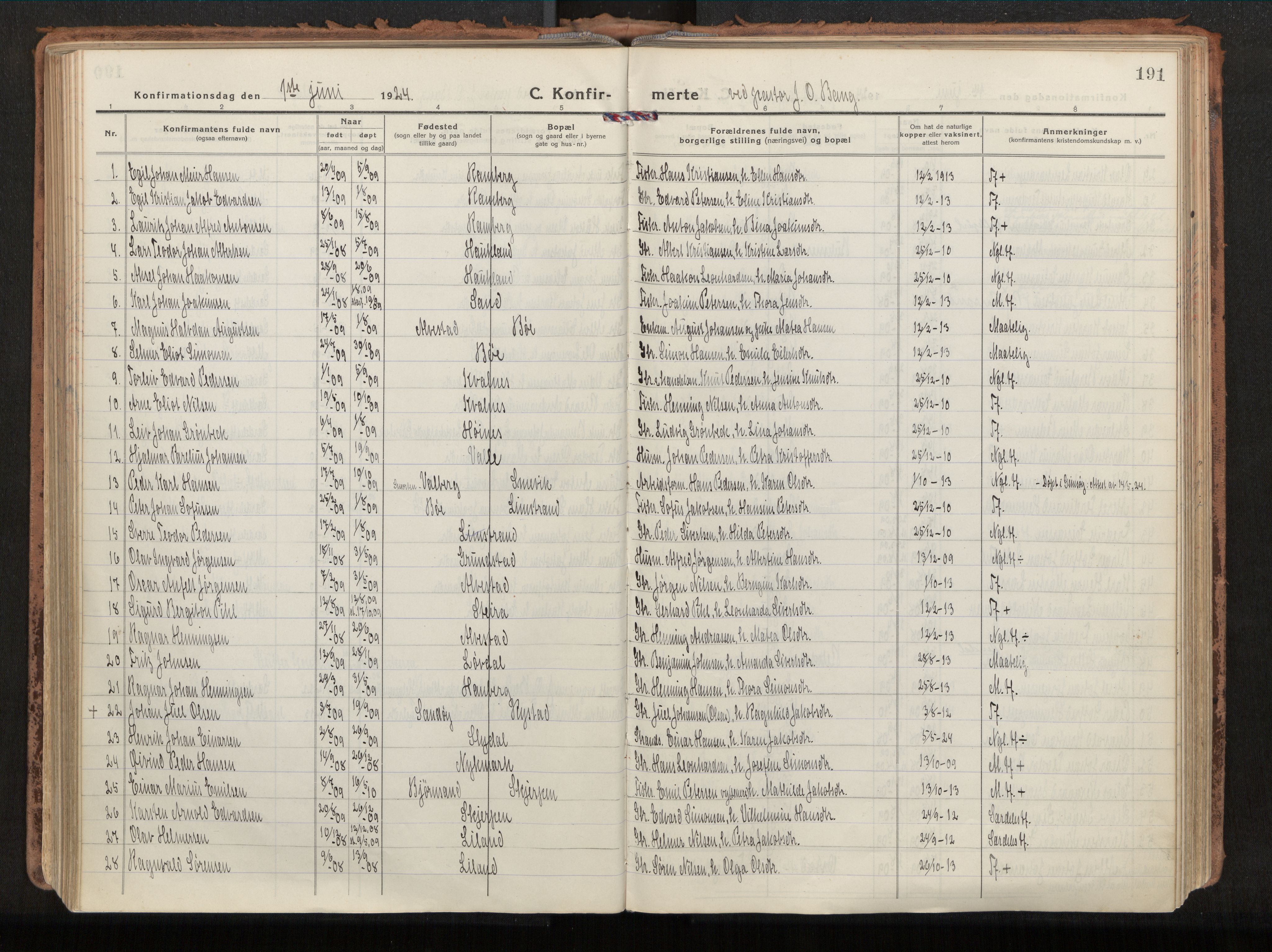 Ministerialprotokoller, klokkerbøker og fødselsregistre - Nordland, AV/SAT-A-1459/880/L1136: Ministerialbok nr. 880A10, 1919-1927, s. 191