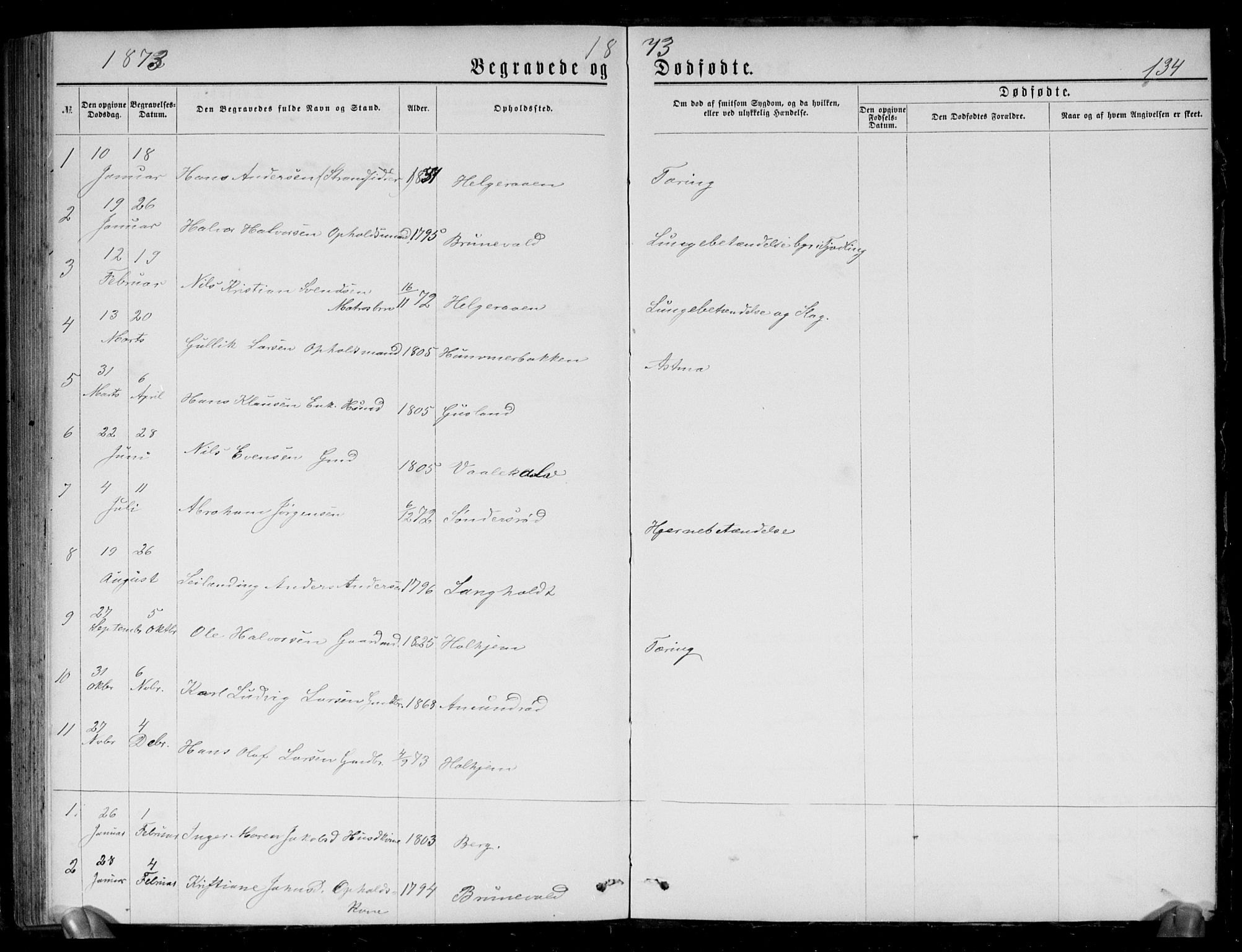 Brunlanes kirkebøker, AV/SAKO-A-342/G/Gb/L0001: Klokkerbok nr. II 1, 1866-1877, s. 134