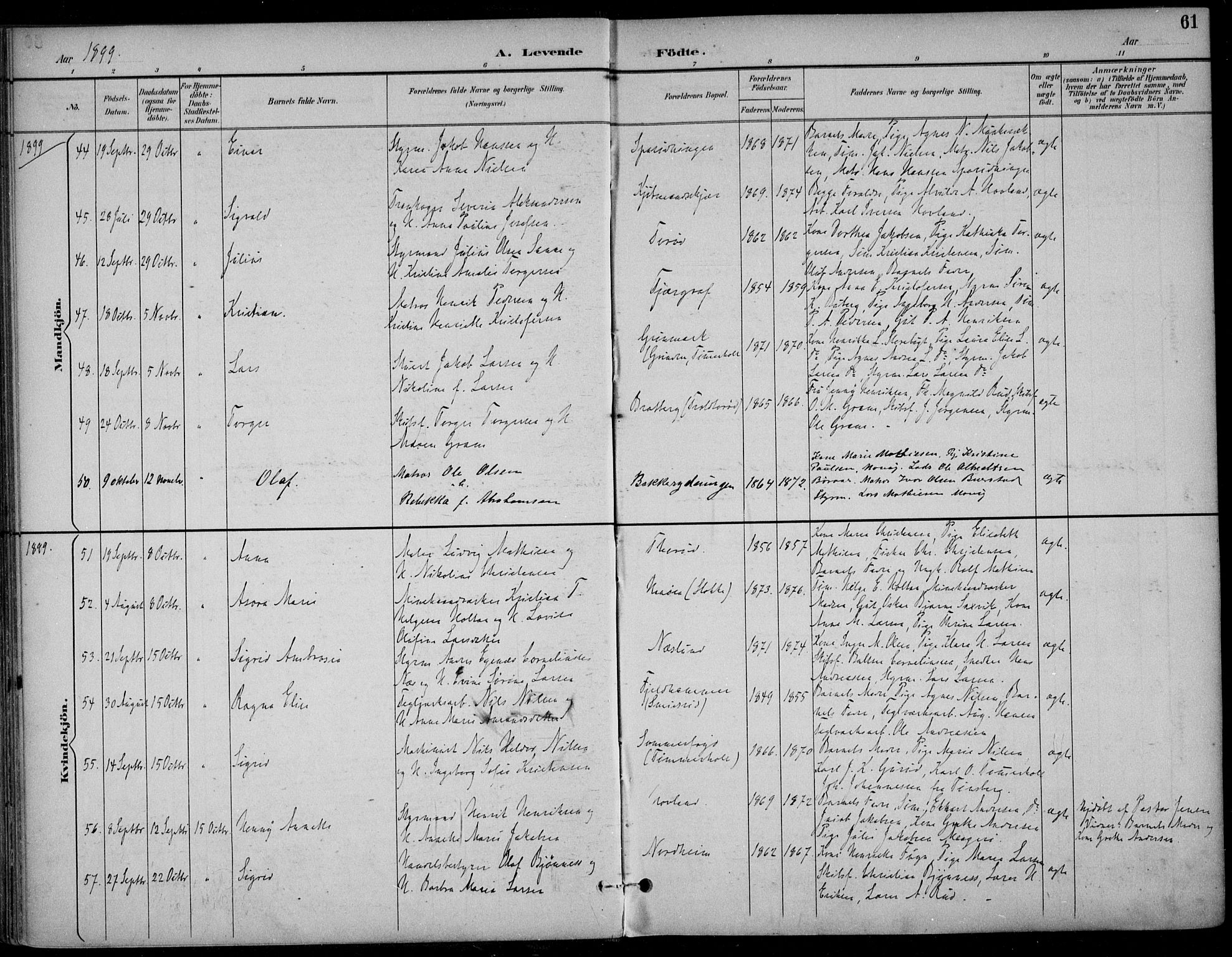 Nøtterøy kirkebøker, AV/SAKO-A-354/F/Fa/L0009: Ministerialbok nr. I 9, 1894-1907, s. 61