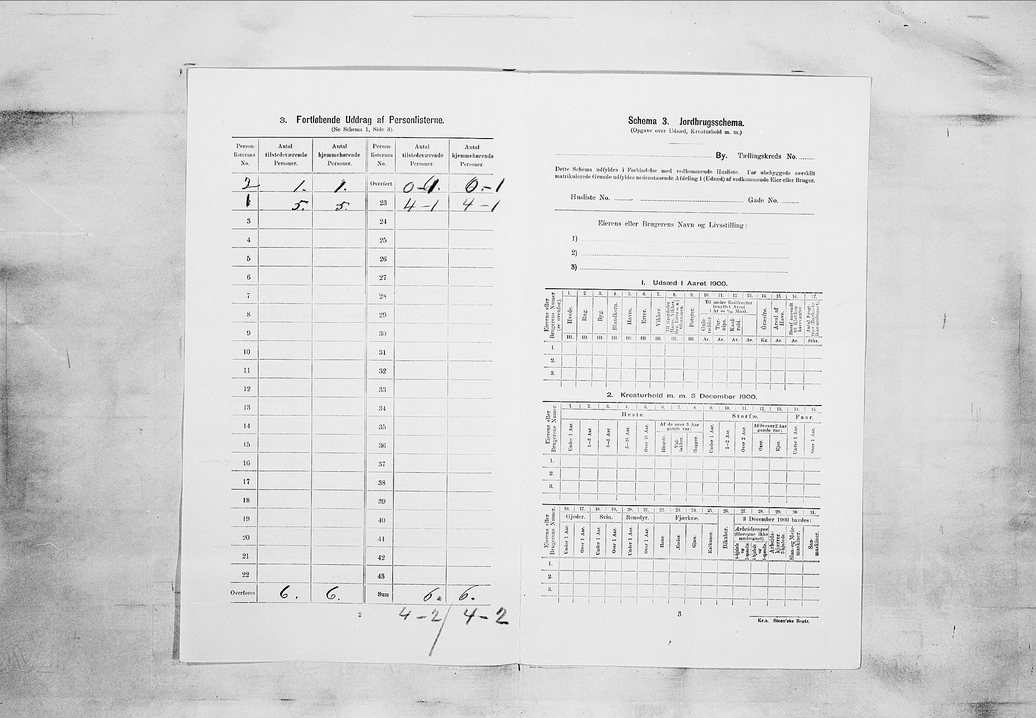 SAKO, Folketelling 1900 for 0801 Kragerø kjøpstad, 1900, s. 2293