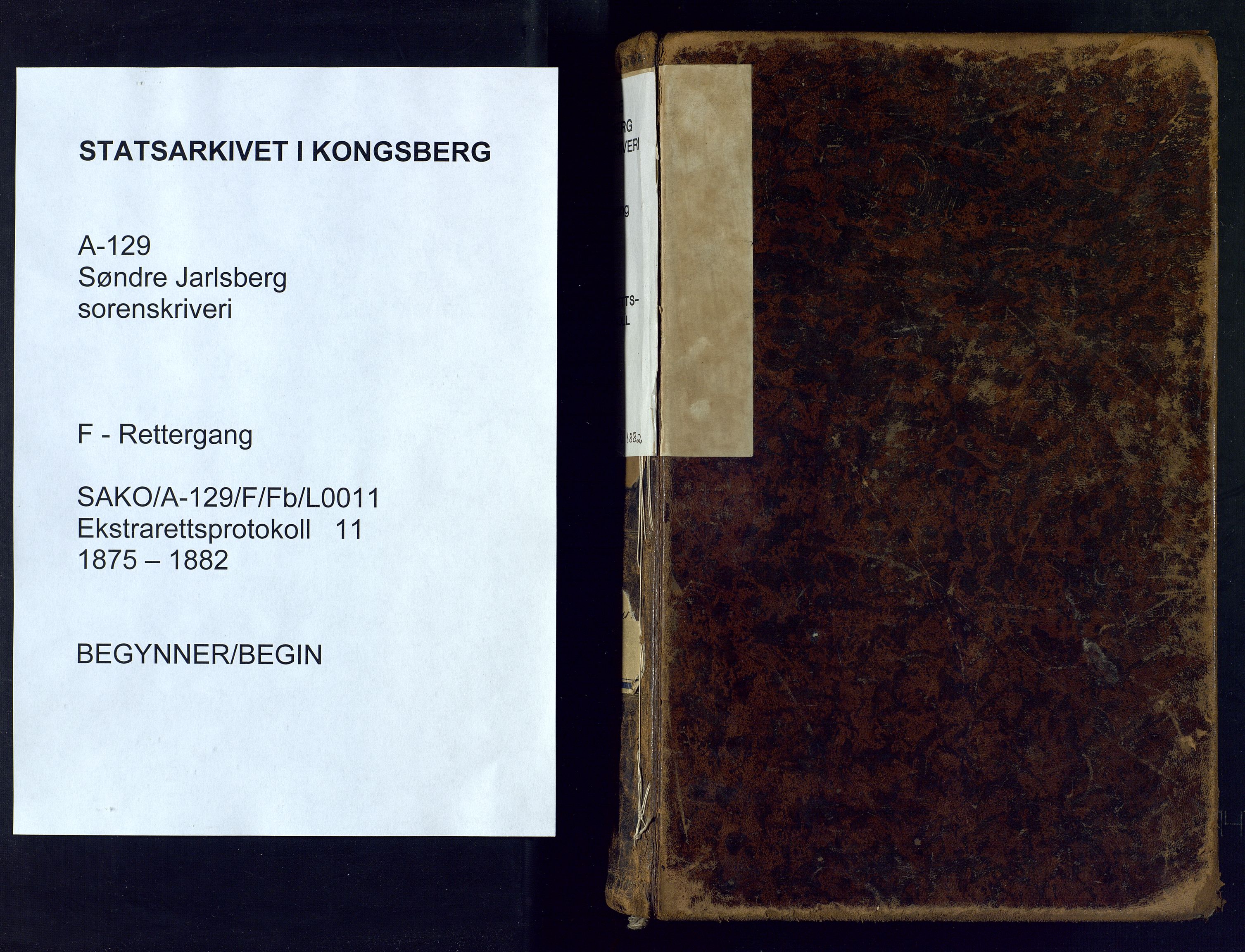 Søndre Jarlsberg sorenskriveri, SAKO/A-129/F/Fb/L0011: Ekstrarettsprotokoll, 1875-1882