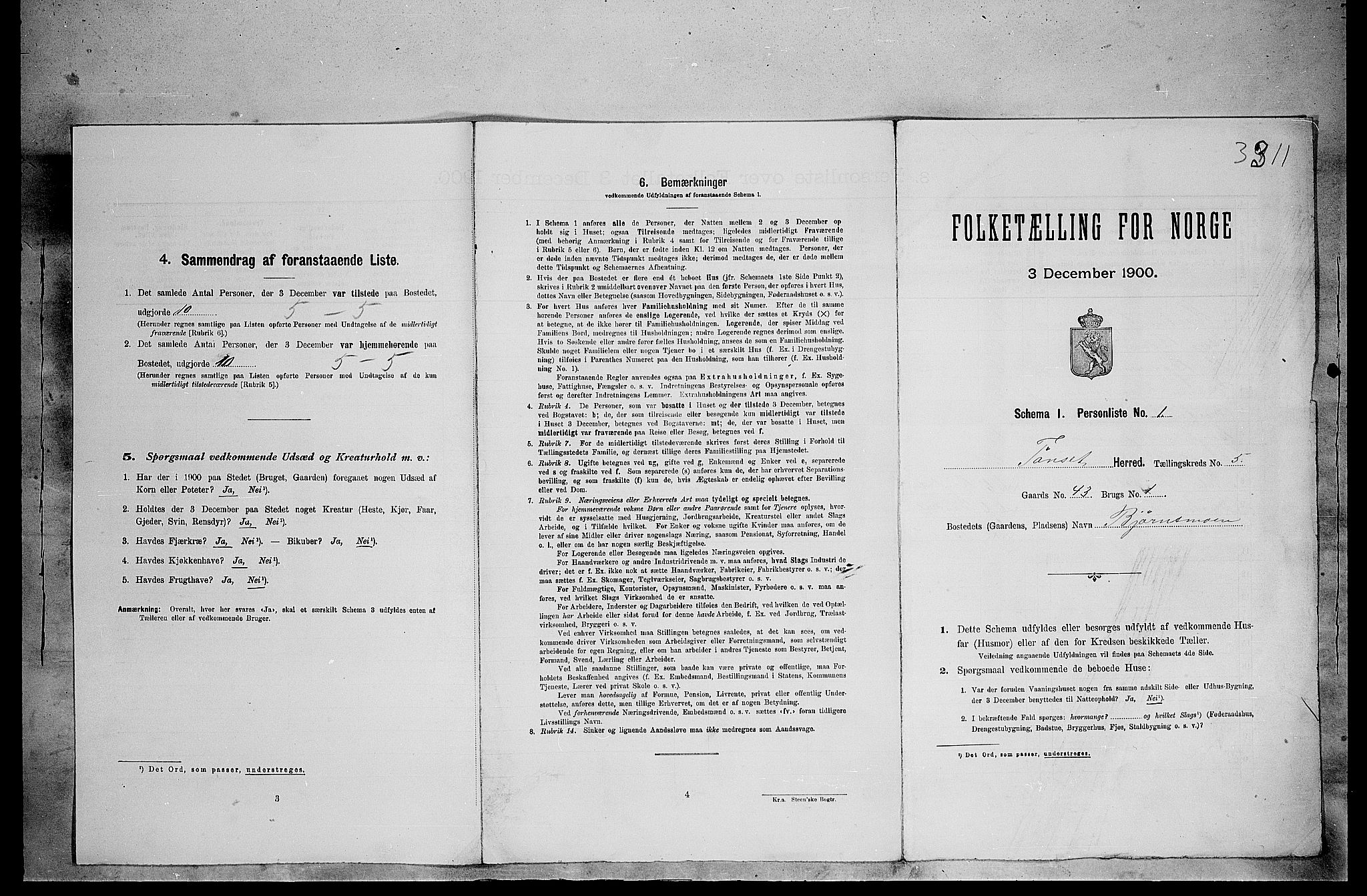 SAH, Folketelling 1900 for 0437 Tynset herred, 1900, s. 461