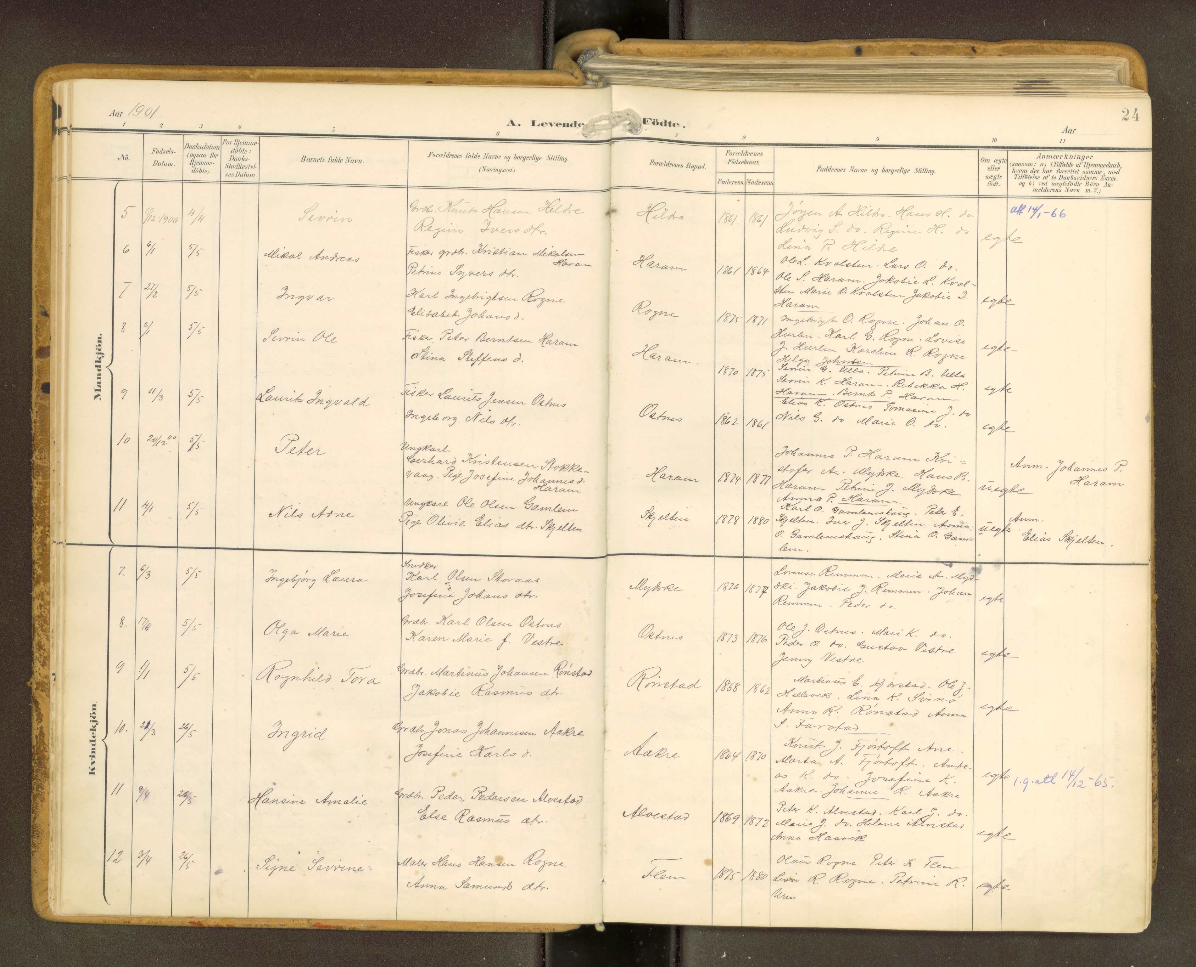 Ministerialprotokoller, klokkerbøker og fødselsregistre - Møre og Romsdal, AV/SAT-A-1454/536/L0517: Ministerialbok nr. 536A--, 1897-1917, s. 24