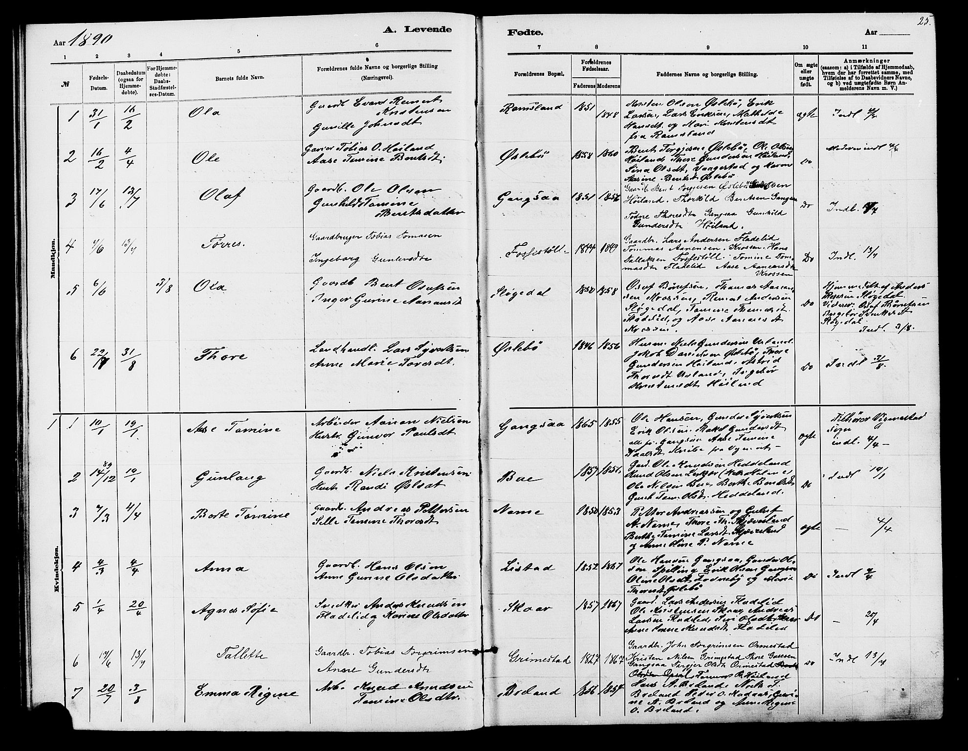 Holum sokneprestkontor, AV/SAK-1111-0022/F/Fb/Fbc/L0003: Klokkerbok nr. B 3, 1882-1908, s. 25