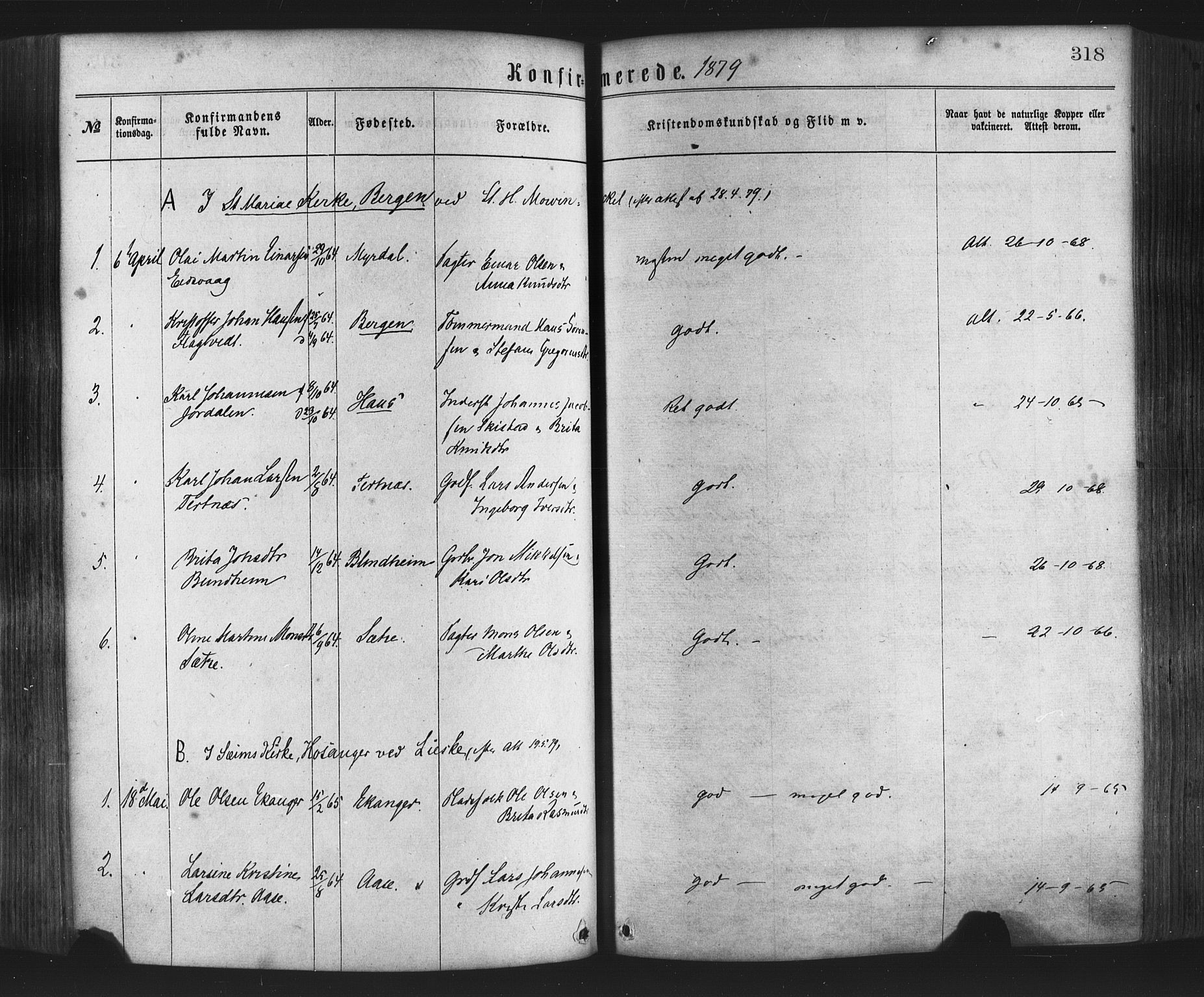 Hamre sokneprestembete, AV/SAB-A-75501/H/Ha/Haa/Haaa/L0015: Ministerialbok nr. A 15, 1870-1881, s. 318