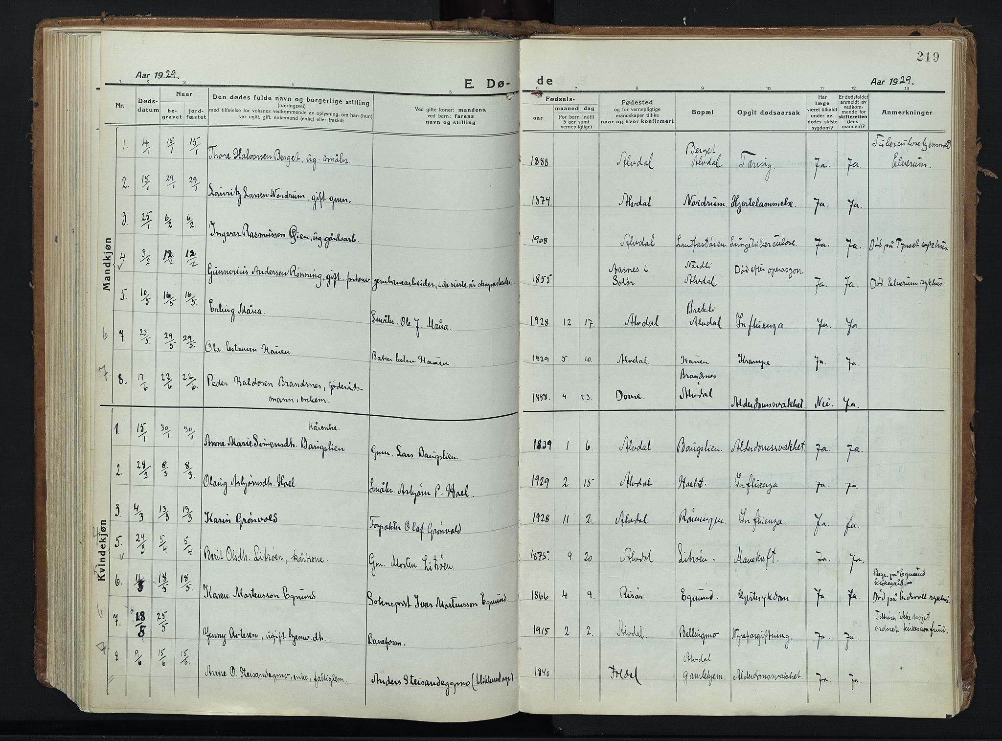 Alvdal prestekontor, SAH/PREST-060/H/Ha/Haa/L0006: Ministerialbok nr. 6, 1920-1937, s. 219