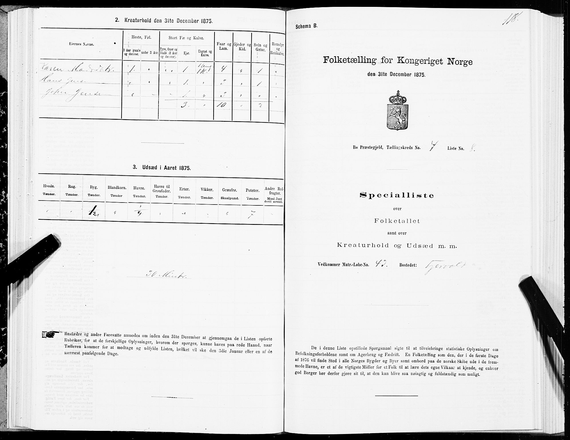 SAT, Folketelling 1875 for 1867P Bø prestegjeld, 1875, s. 2118