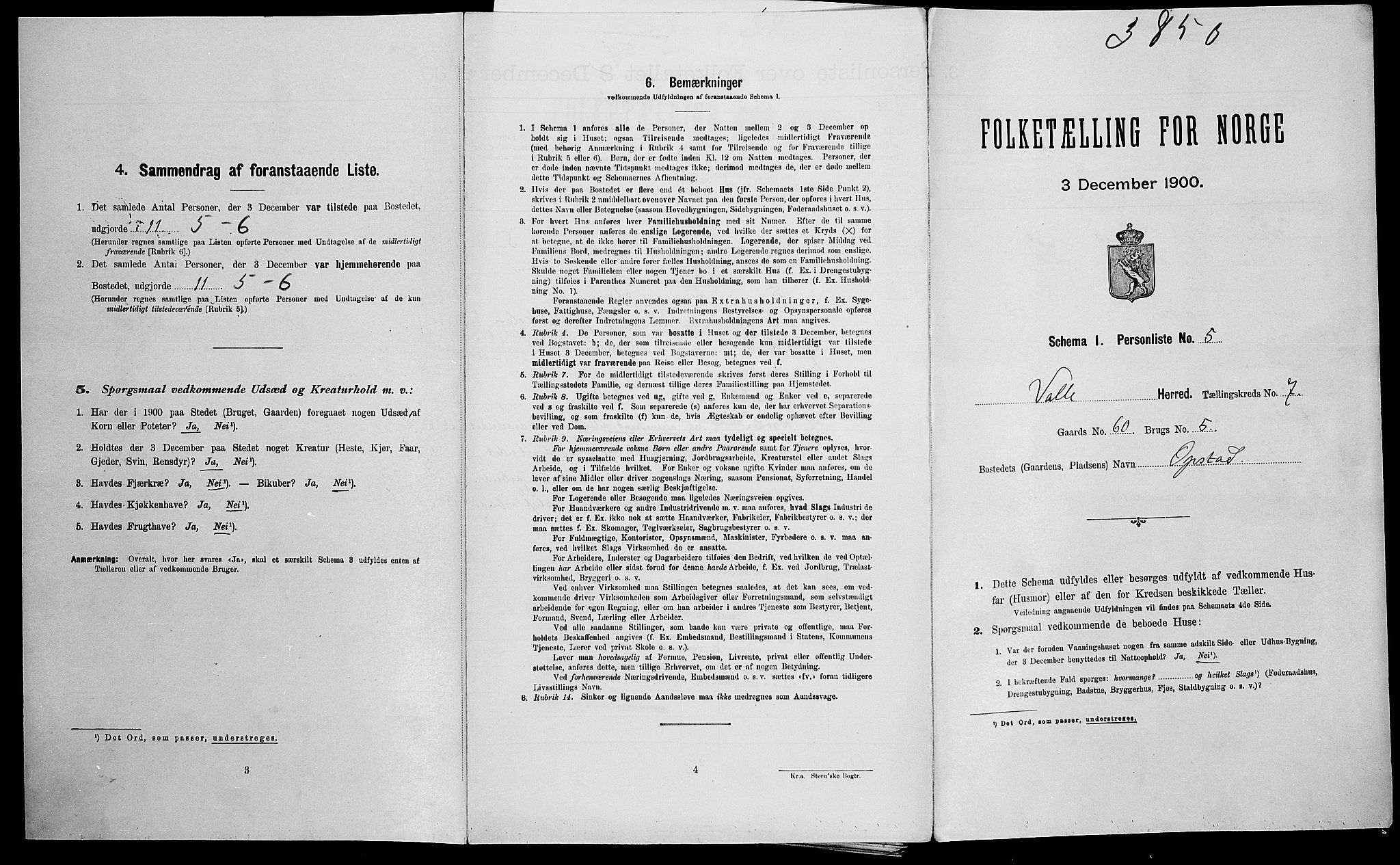 SAK, Folketelling 1900 for 0940 Valle herred, 1900, s. 595