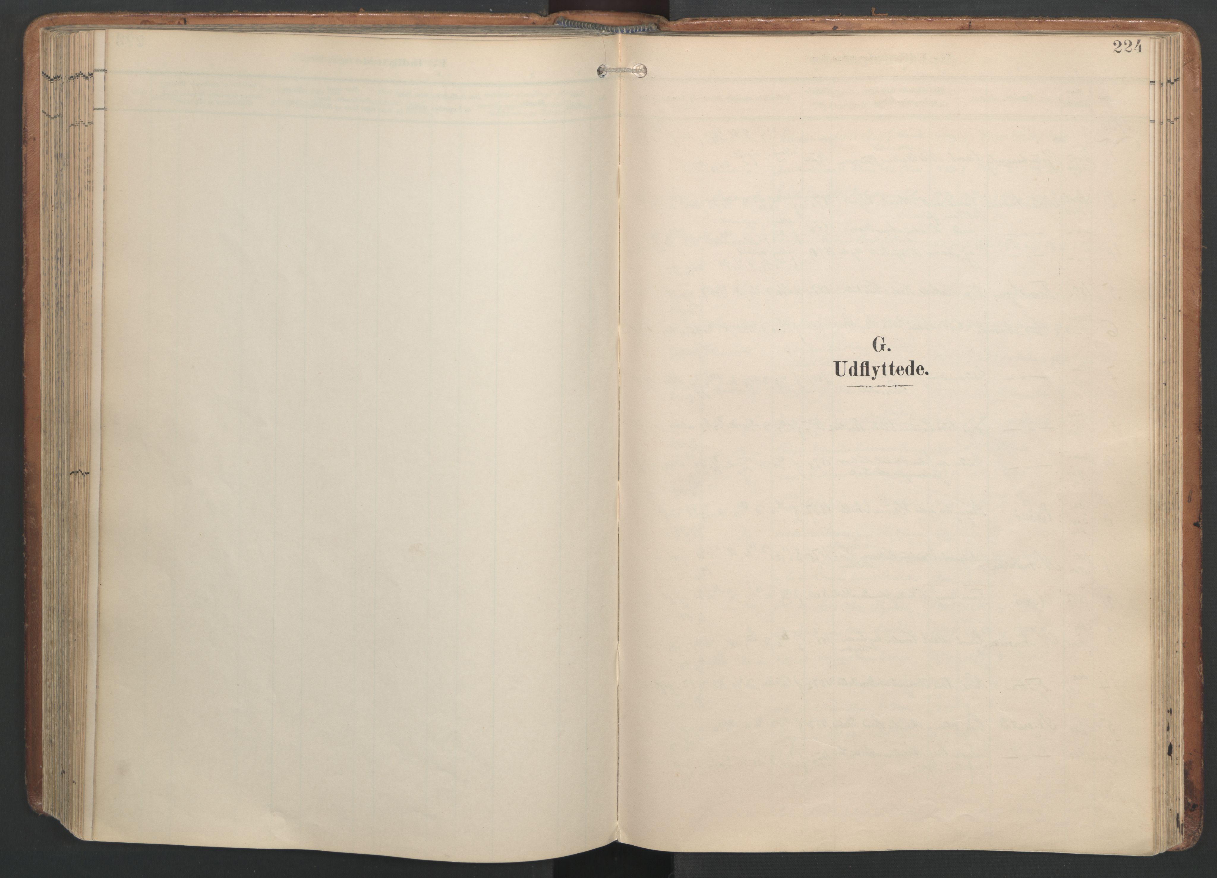 Ministerialprotokoller, klokkerbøker og fødselsregistre - Nordland, SAT/A-1459/820/L0298: Ministerialbok nr. 820A19, 1897-1915, s. 224