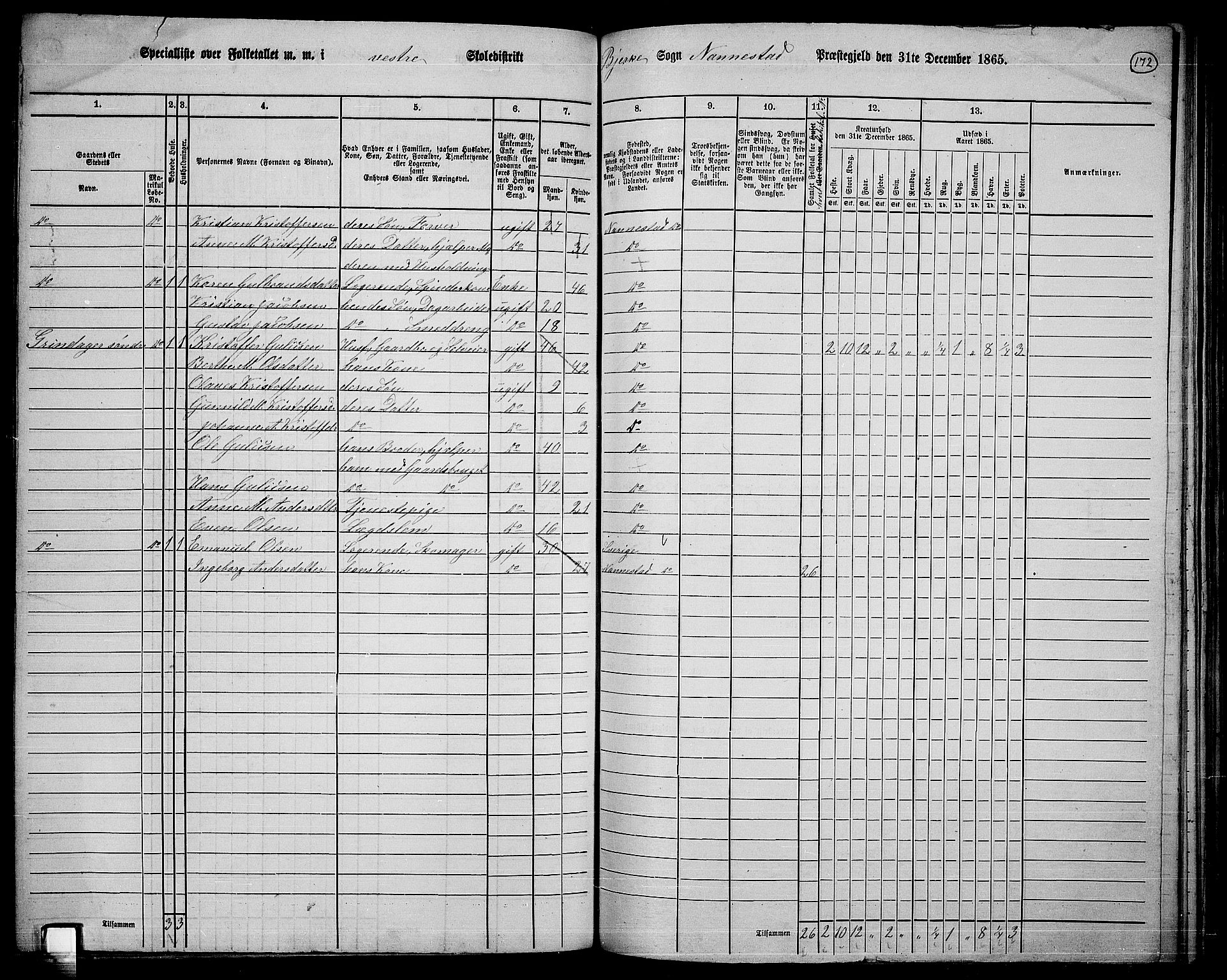 RA, Folketelling 1865 for 0238P Nannestad prestegjeld, 1865, s. 55
