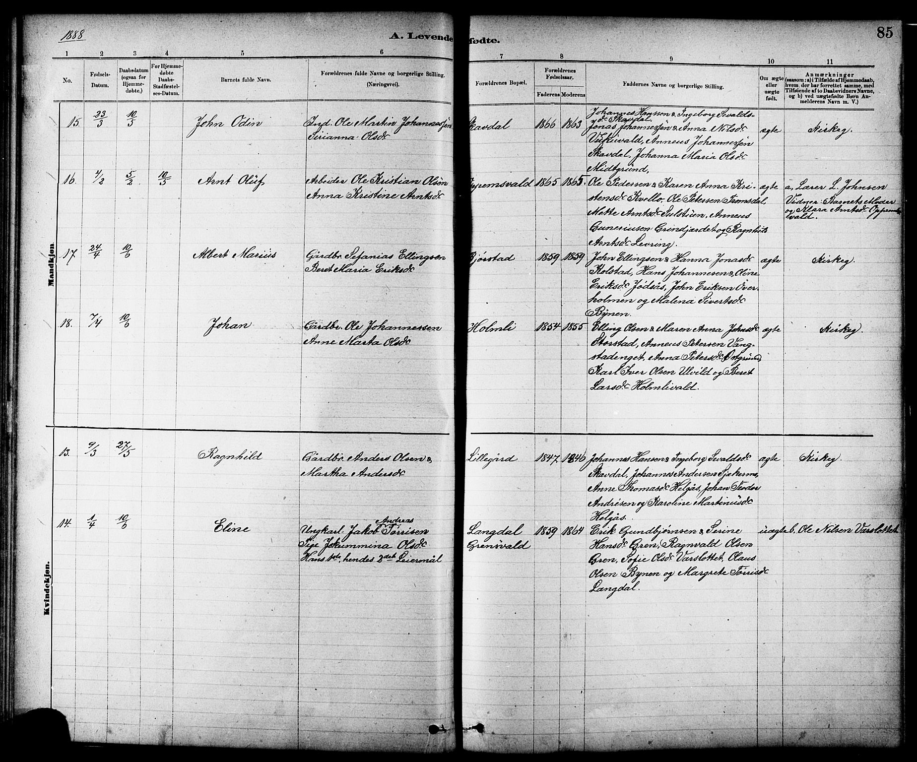 Ministerialprotokoller, klokkerbøker og fødselsregistre - Nord-Trøndelag, AV/SAT-A-1458/724/L0267: Klokkerbok nr. 724C03, 1879-1898, s. 85