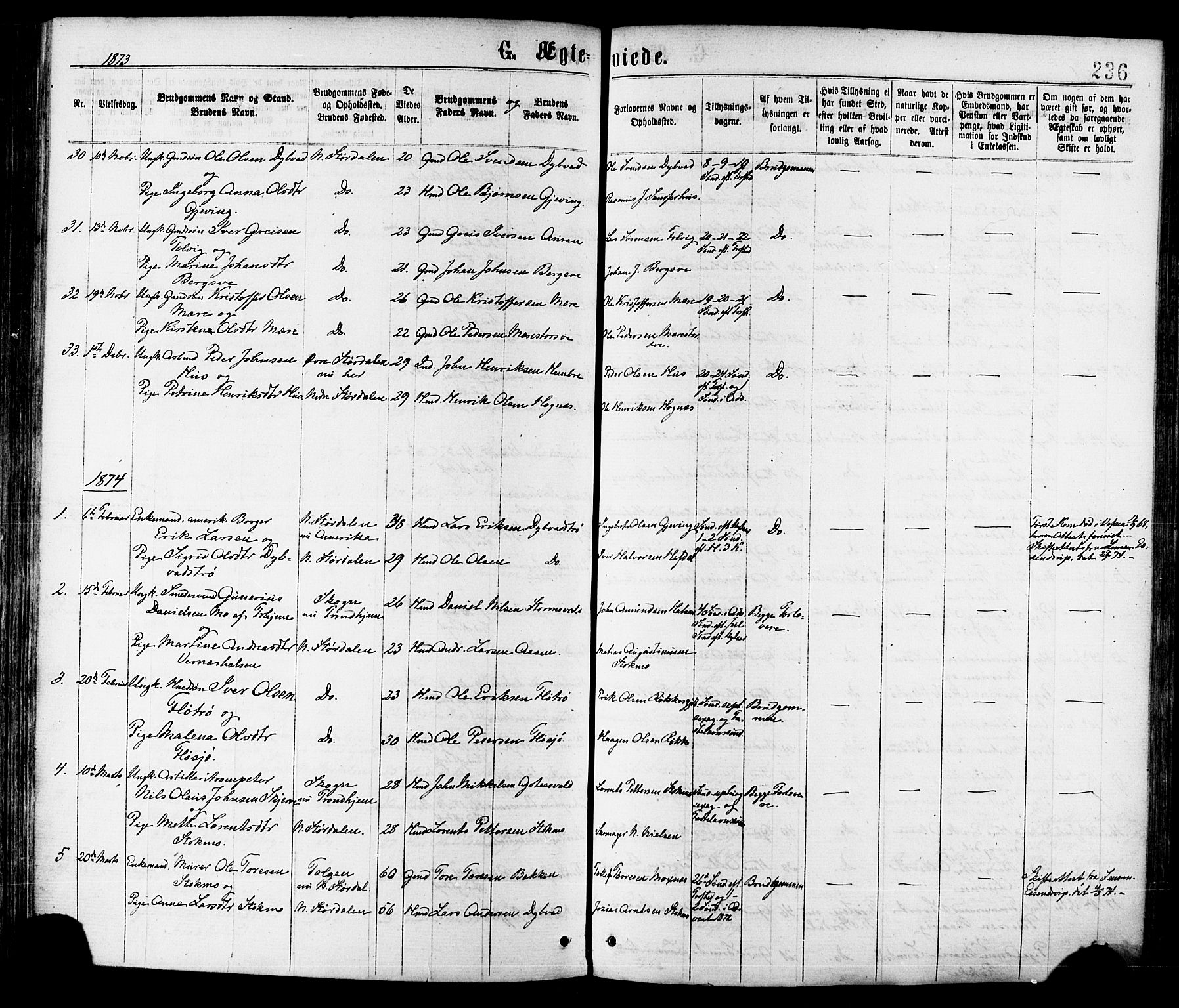 Ministerialprotokoller, klokkerbøker og fødselsregistre - Nord-Trøndelag, SAT/A-1458/709/L0076: Ministerialbok nr. 709A16, 1871-1879, s. 236