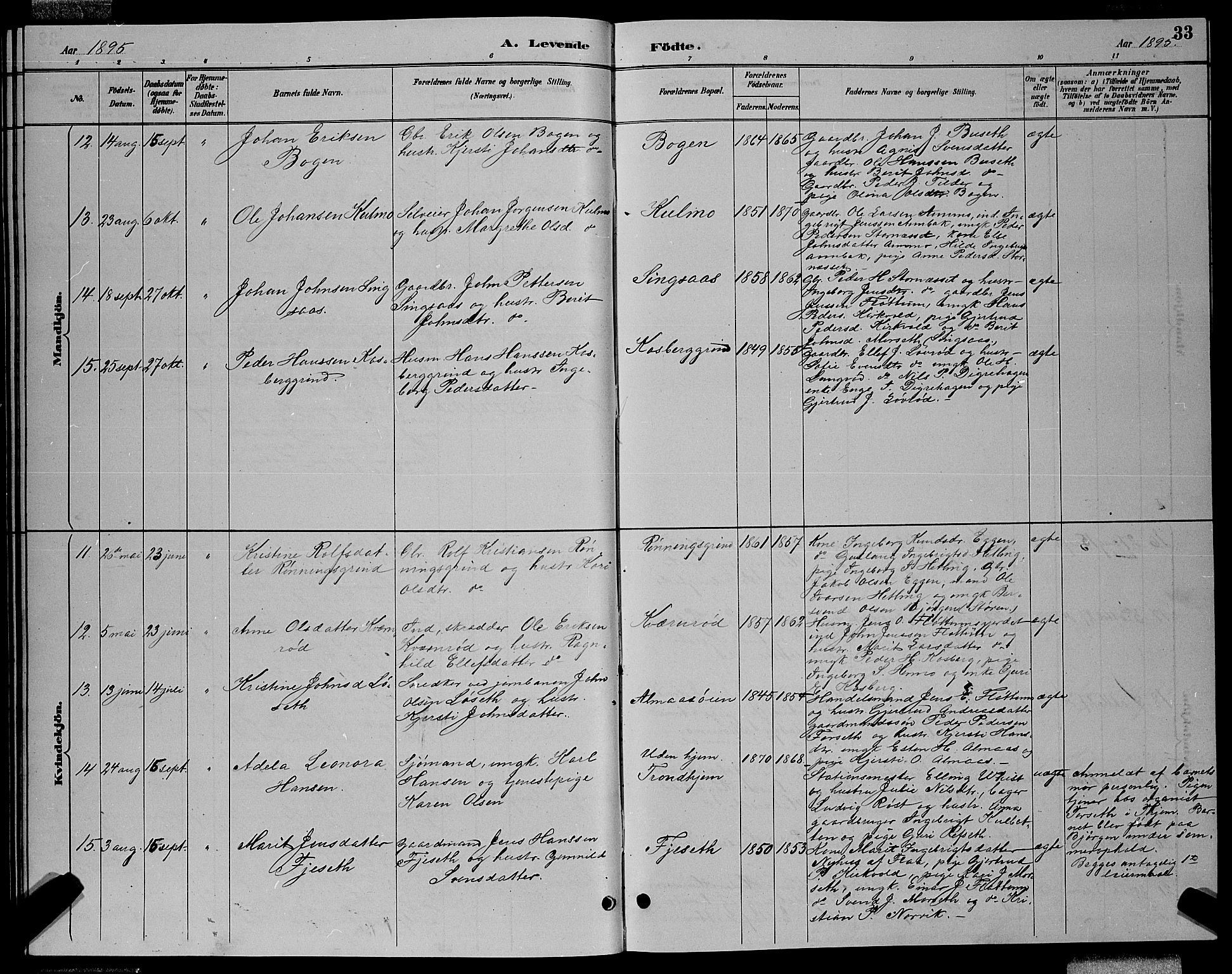 Ministerialprotokoller, klokkerbøker og fødselsregistre - Sør-Trøndelag, SAT/A-1456/688/L1028: Klokkerbok nr. 688C03, 1889-1899, s. 33