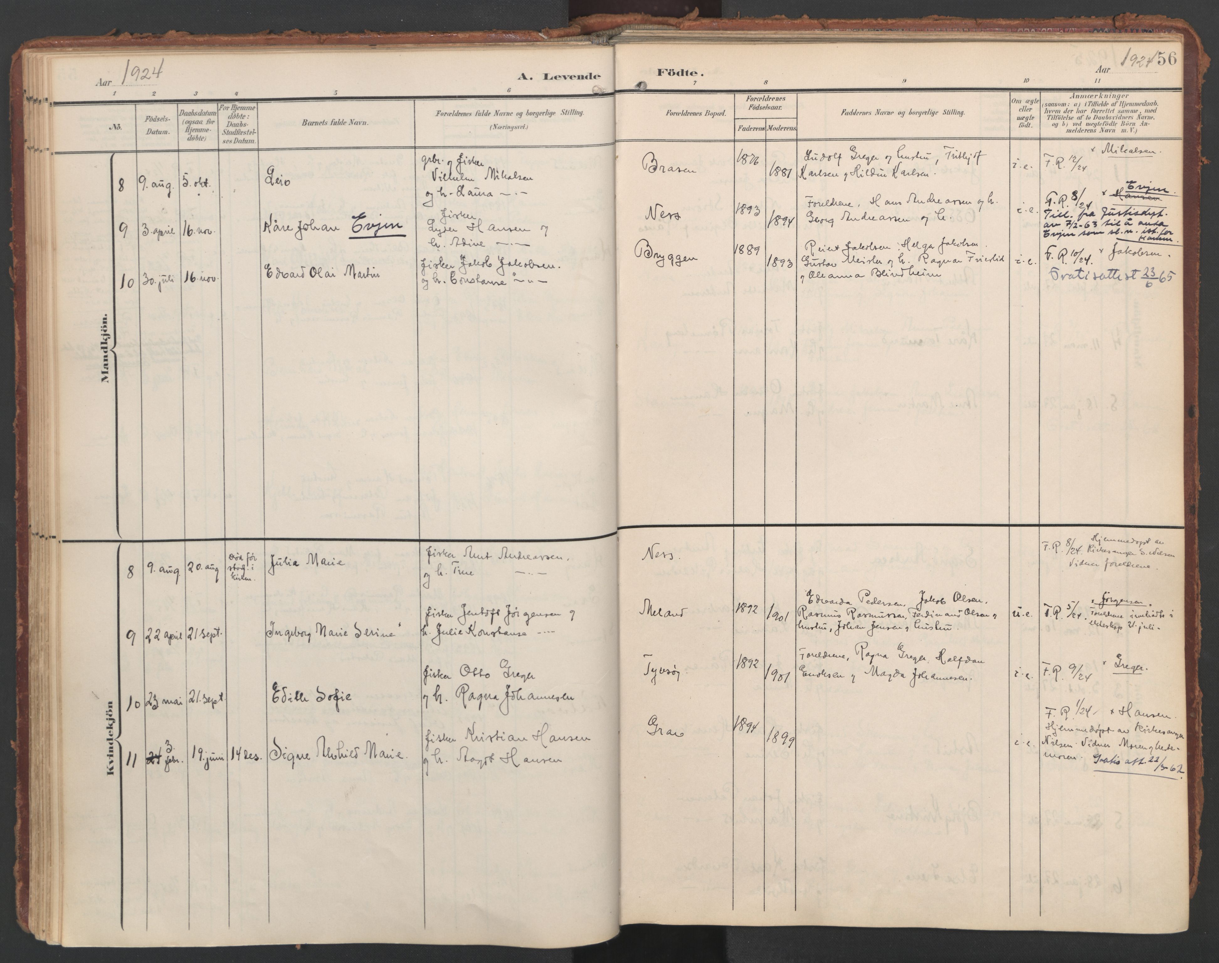 Ministerialprotokoller, klokkerbøker og fødselsregistre - Nordland, AV/SAT-A-1459/808/L0129: Ministerialbok nr. 808A02, 1903-1931, s. 56