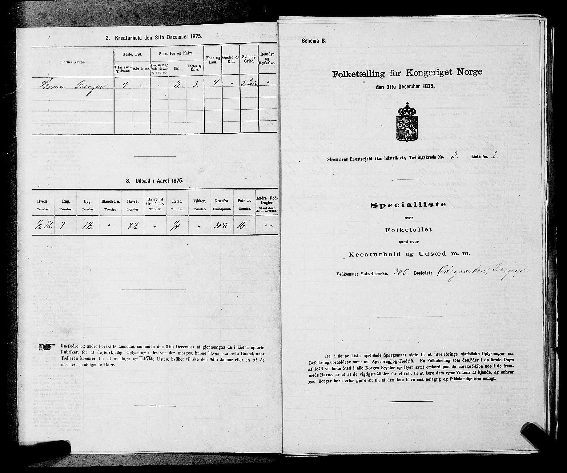 SAKO, Folketelling 1875 for 0711L Strømm prestegjeld, Strømm sokn, 1875, s. 384