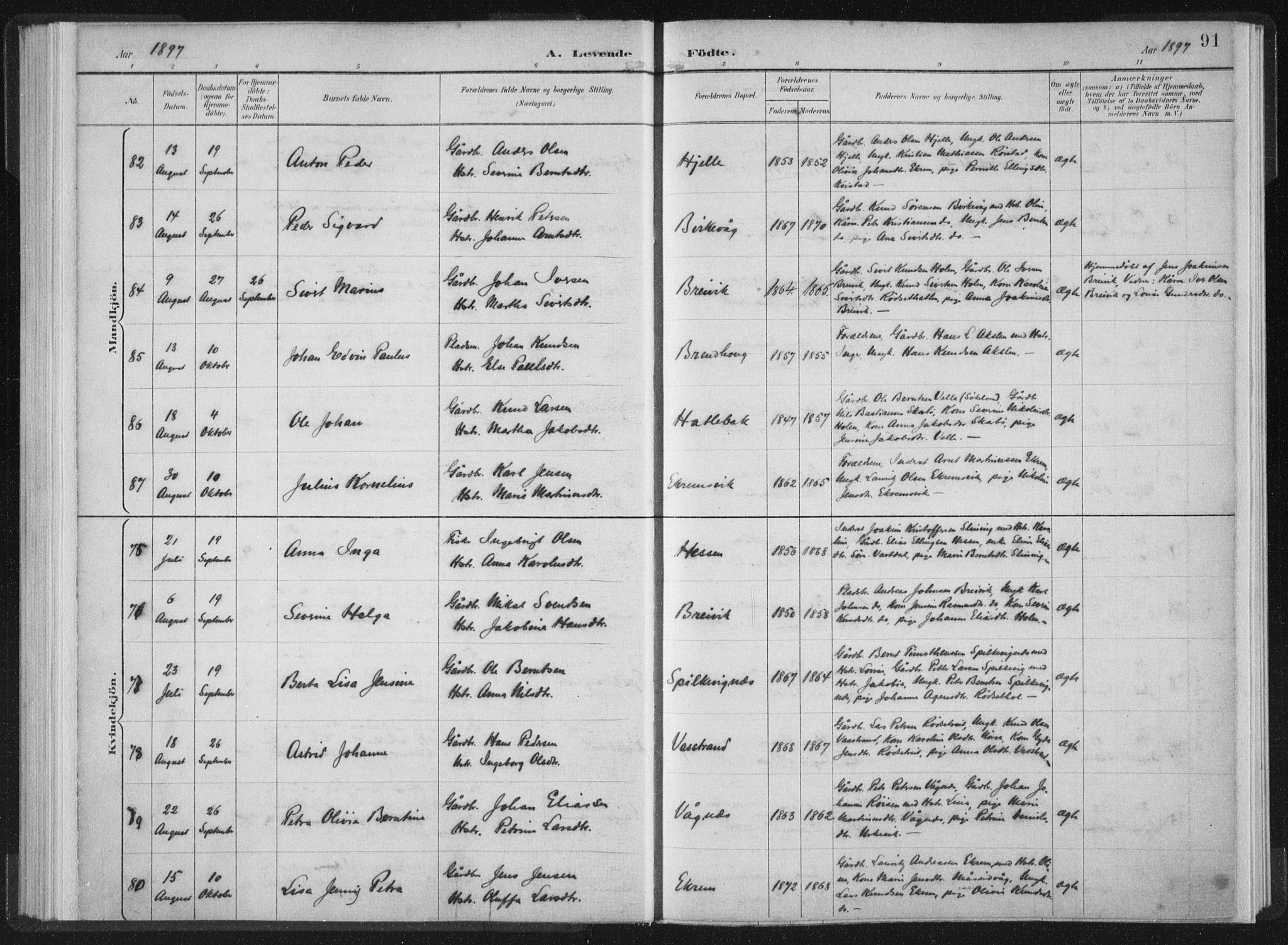 Ministerialprotokoller, klokkerbøker og fødselsregistre - Møre og Romsdal, AV/SAT-A-1454/528/L0405: Ministerialbok nr. 528A14, 1891-1906, s. 91