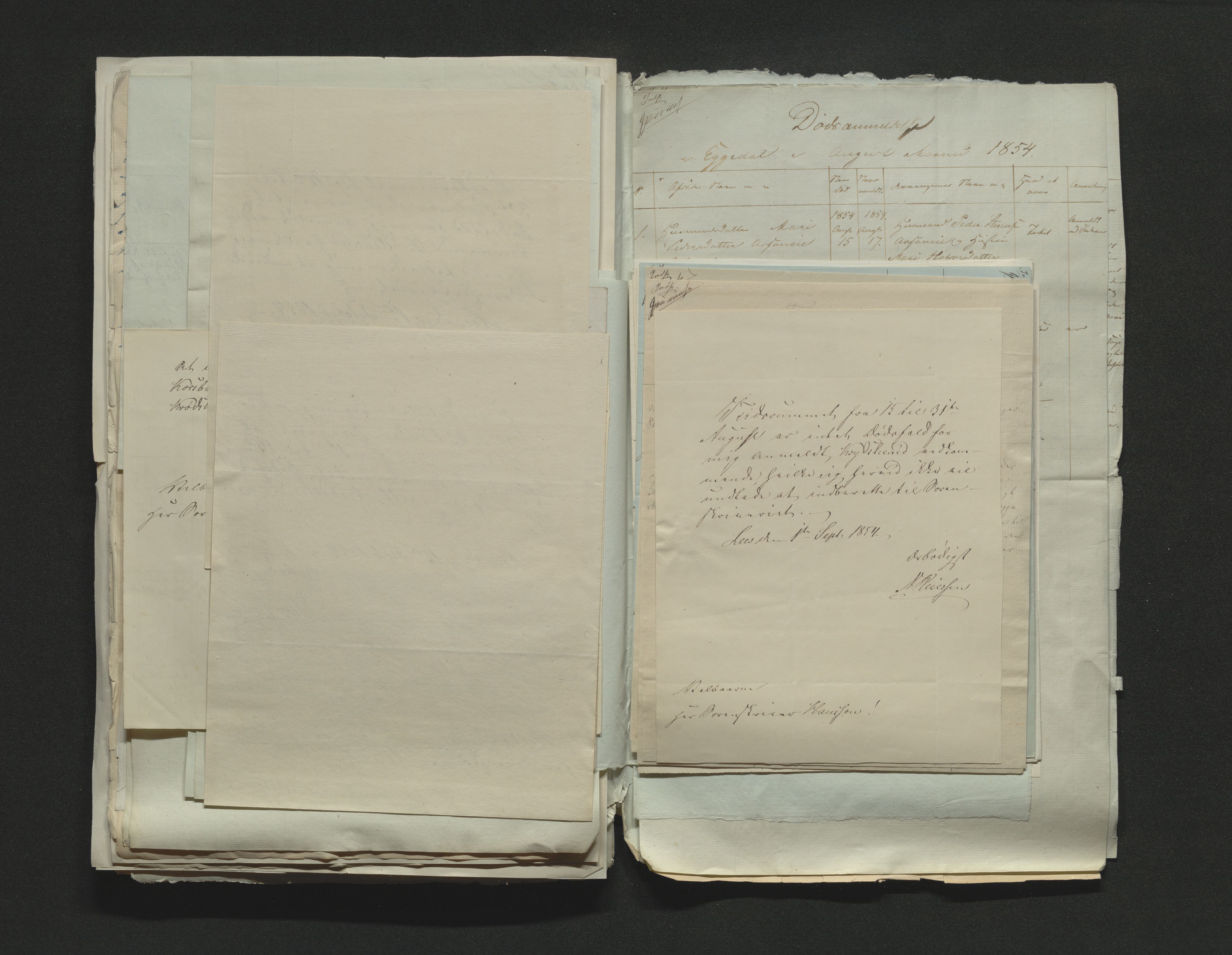 Eiker, Modum og Sigdal sorenskriveri, AV/SAKO-A-123/H/Ha/Hab/L0009: Dødsfallsmeldinger, 1854-1857, s. 106